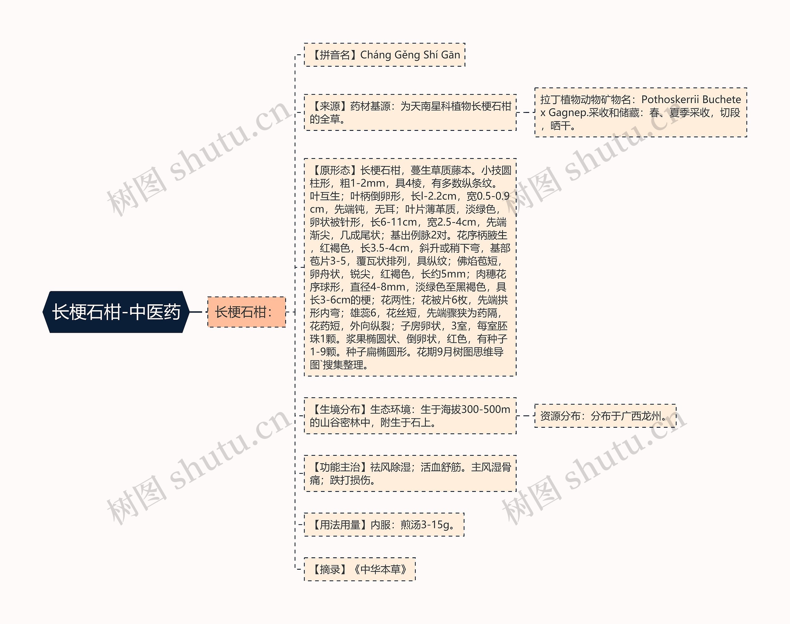 长梗石柑-中医药 长梗石柑-中医药