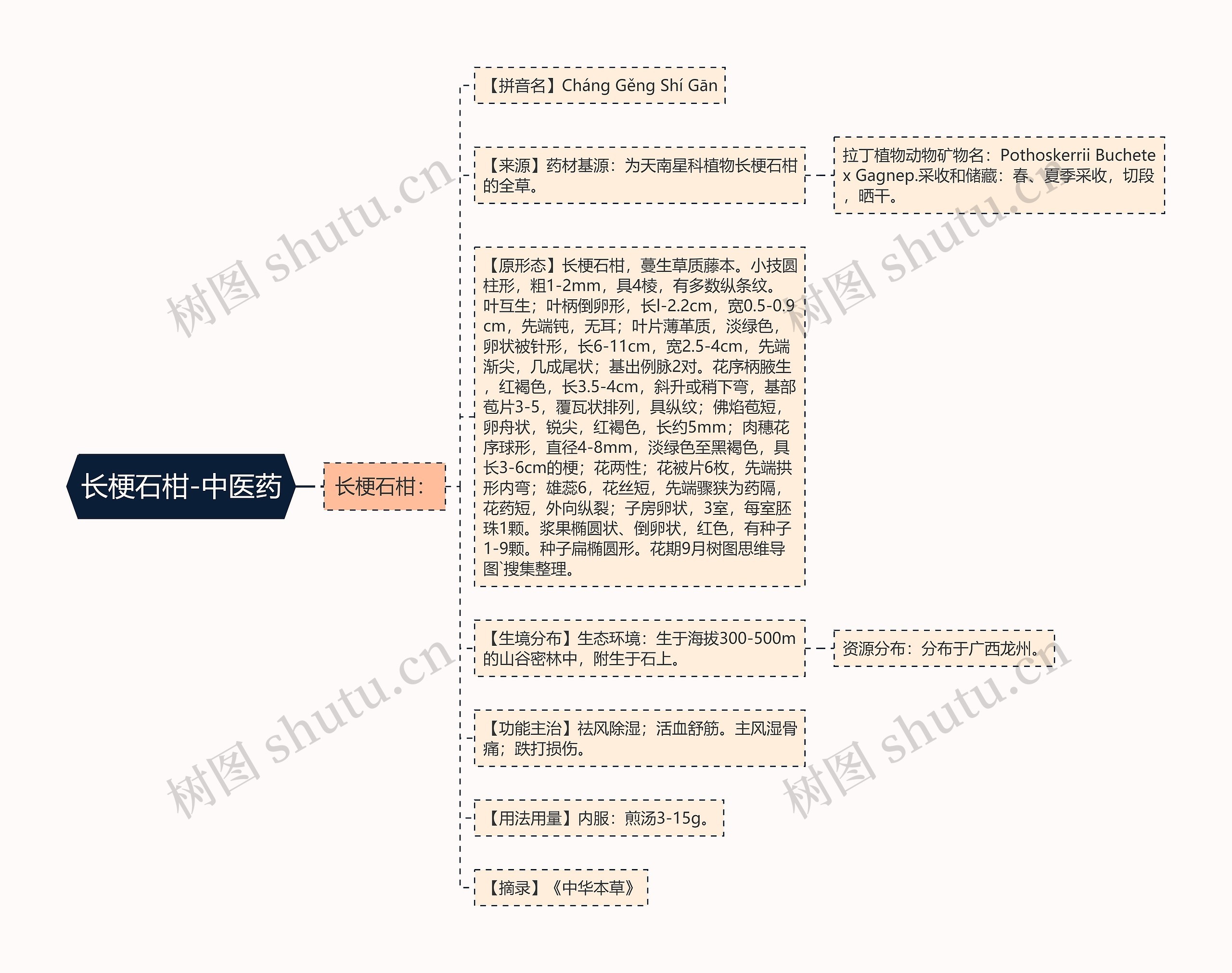 长梗石柑-中医药思维导图