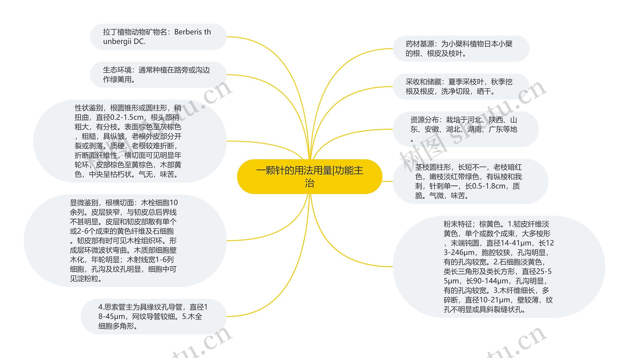 一颗针的用法用量|功能主治