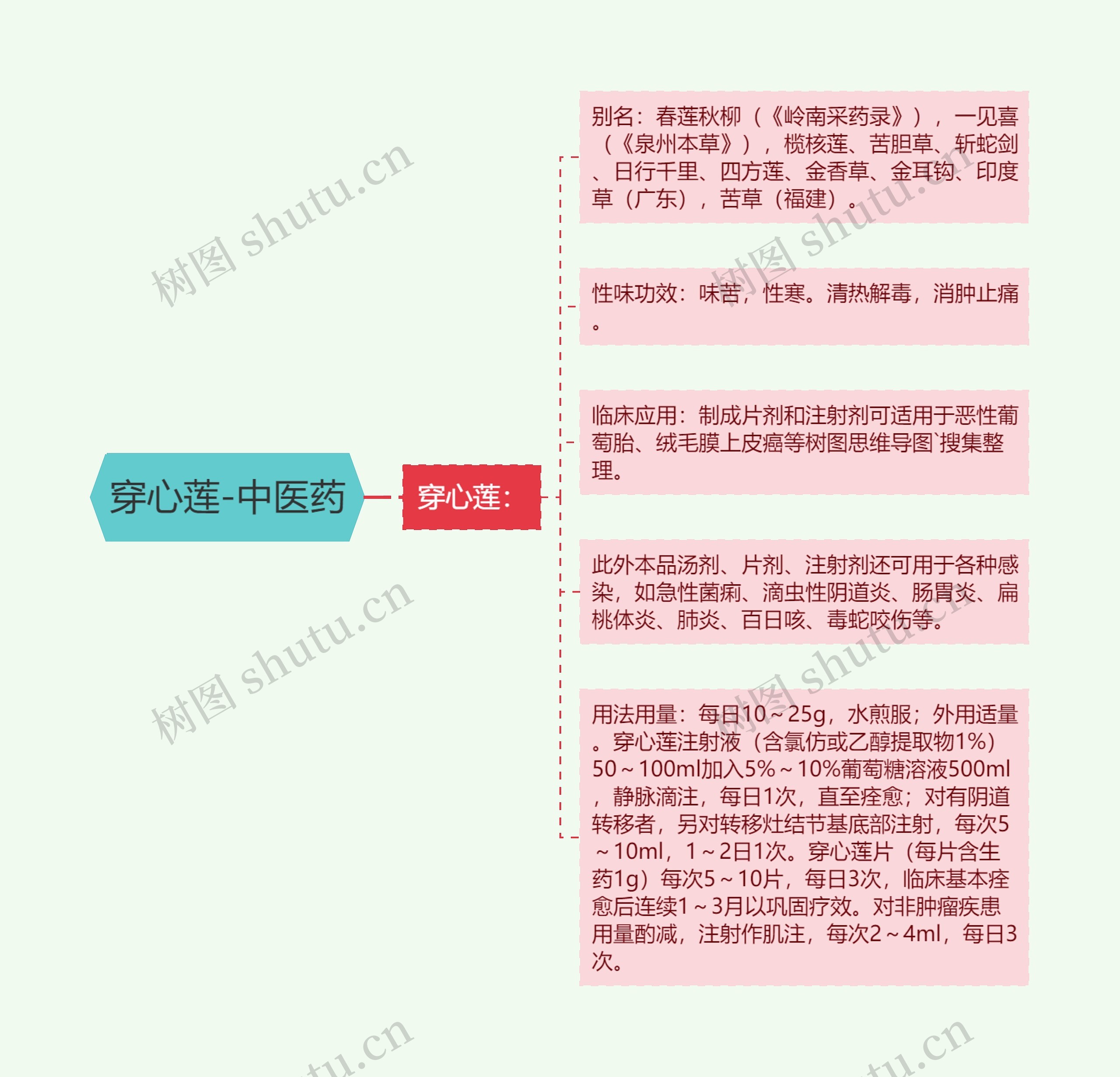 穿心莲-中医药 穿心莲-中医药