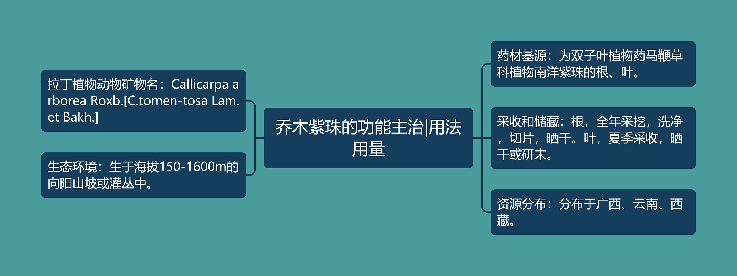 乔木紫珠的功能主治|用法用量思维导图