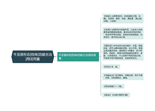 牛至原形态|性味|功能主治|用法用量