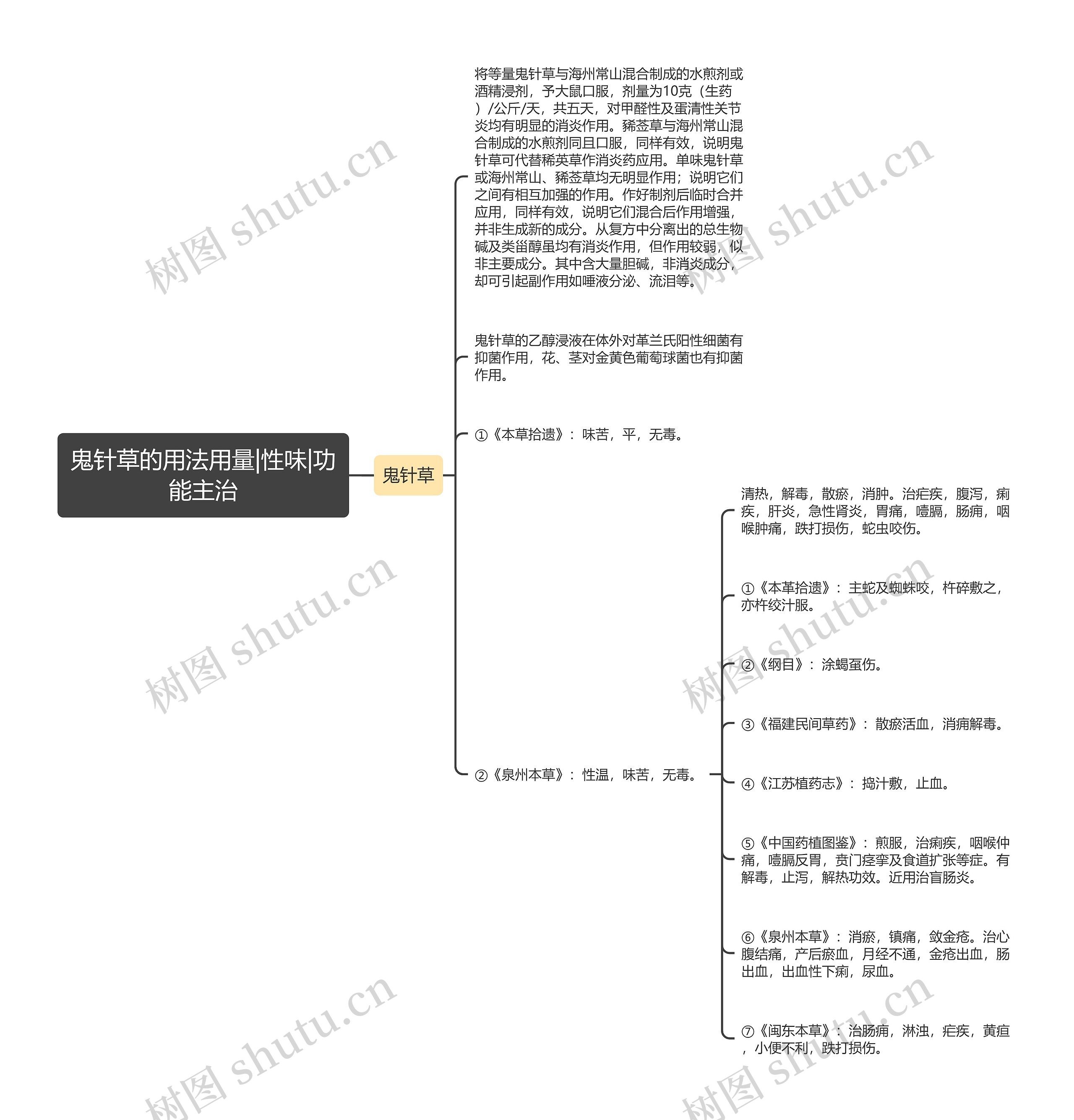 鬼针草的用法用量|性味|功能主治思维导图