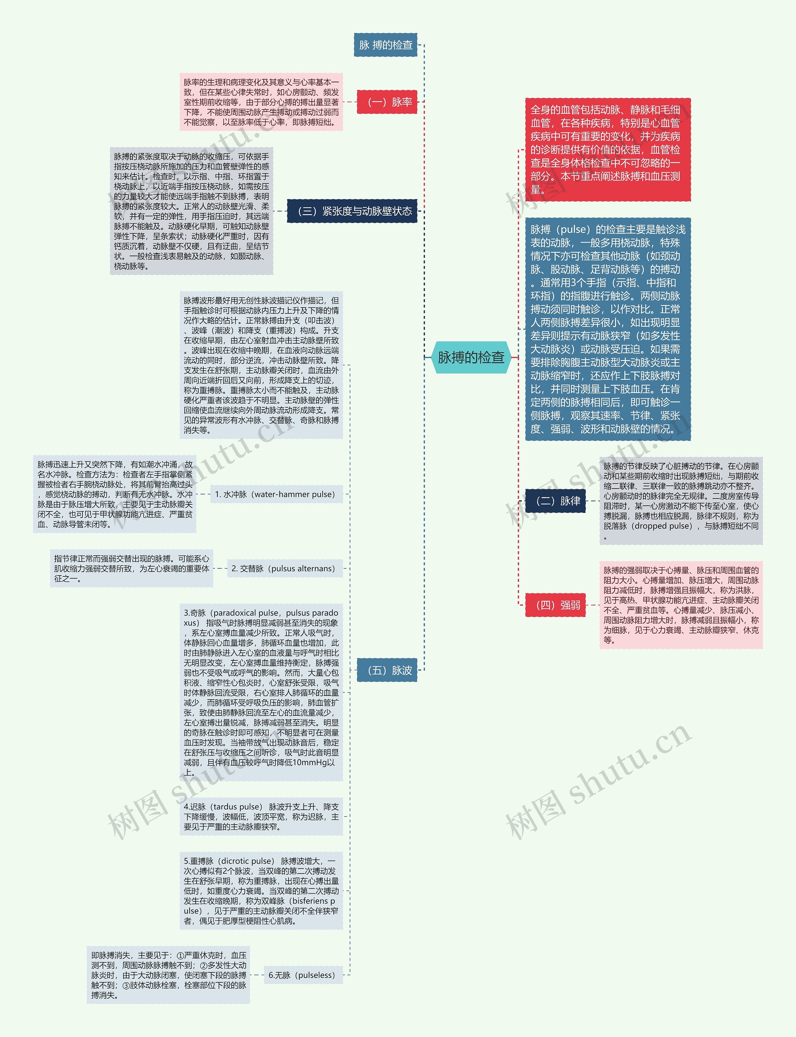 脉搏的检查思维导图