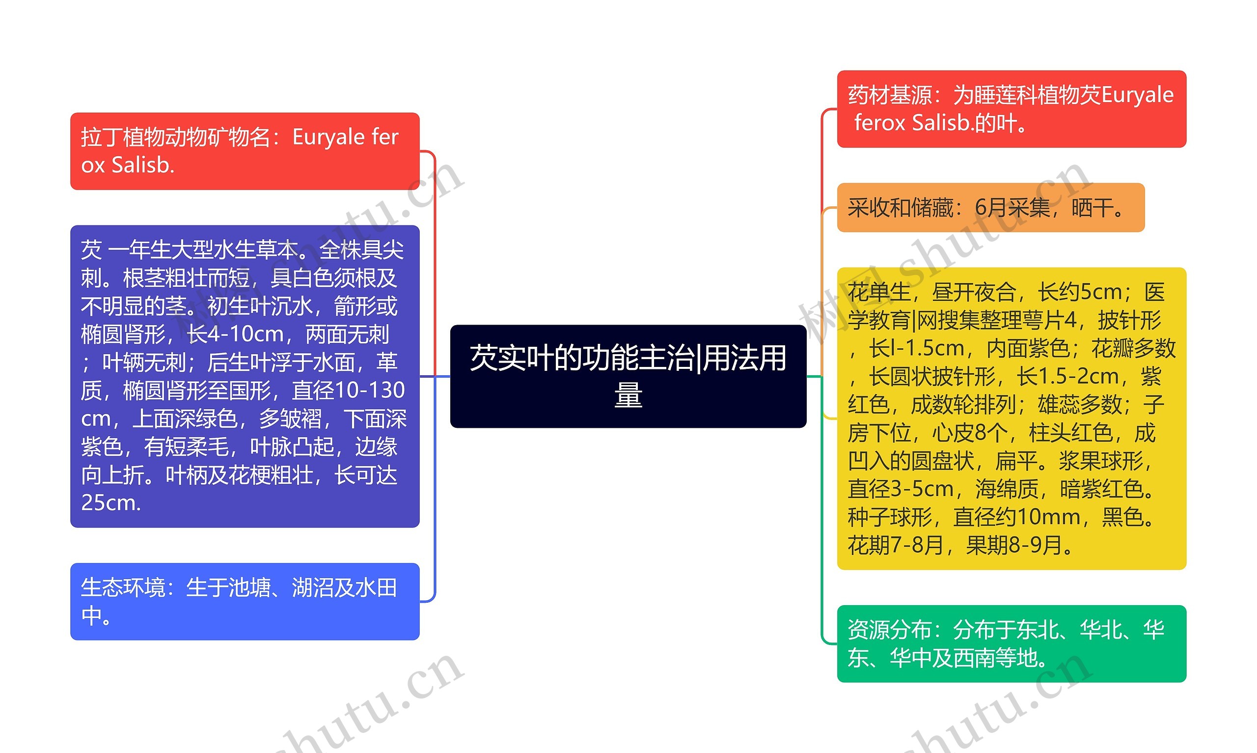 芡实叶的功能主治|用法用量 芡实叶的功能主治|用法用量