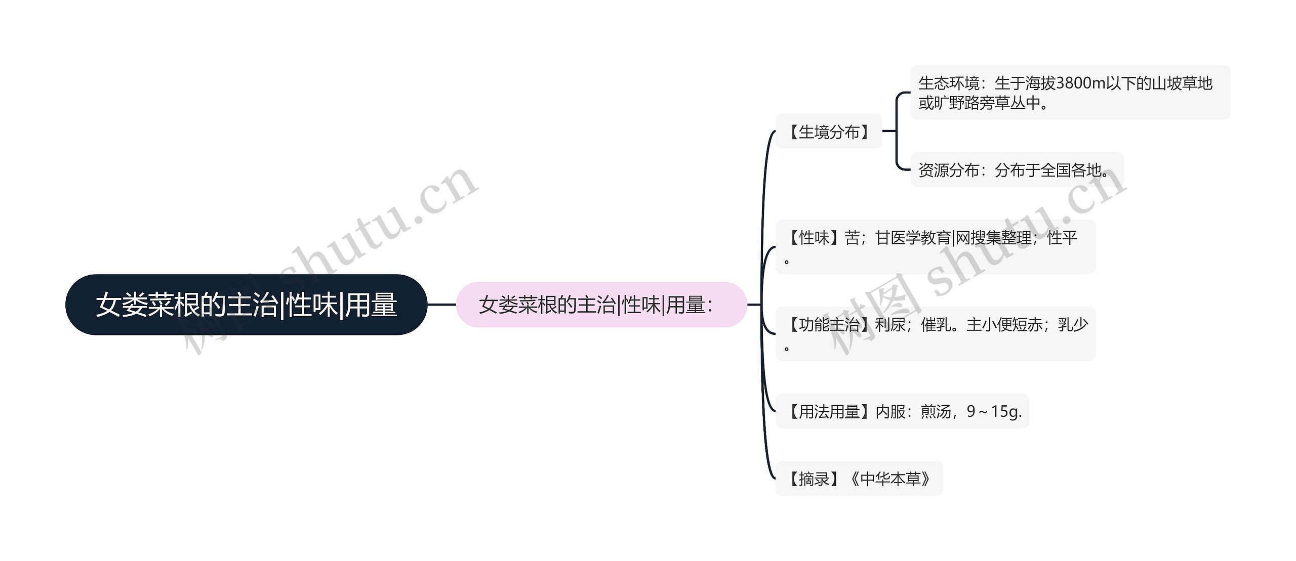 女娄菜根的主治|性味|用量思维导图