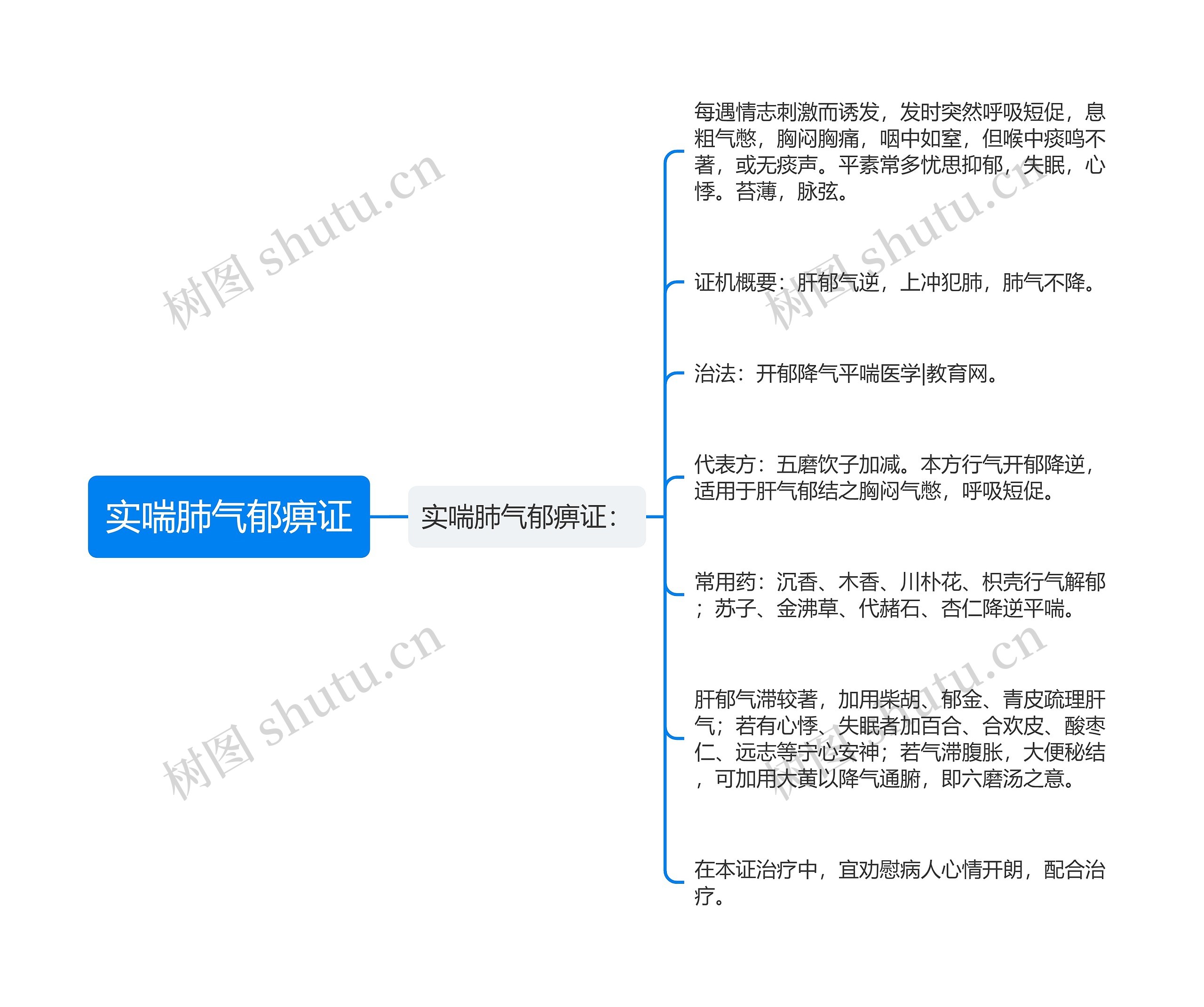 实喘肺气郁痹证思维导图