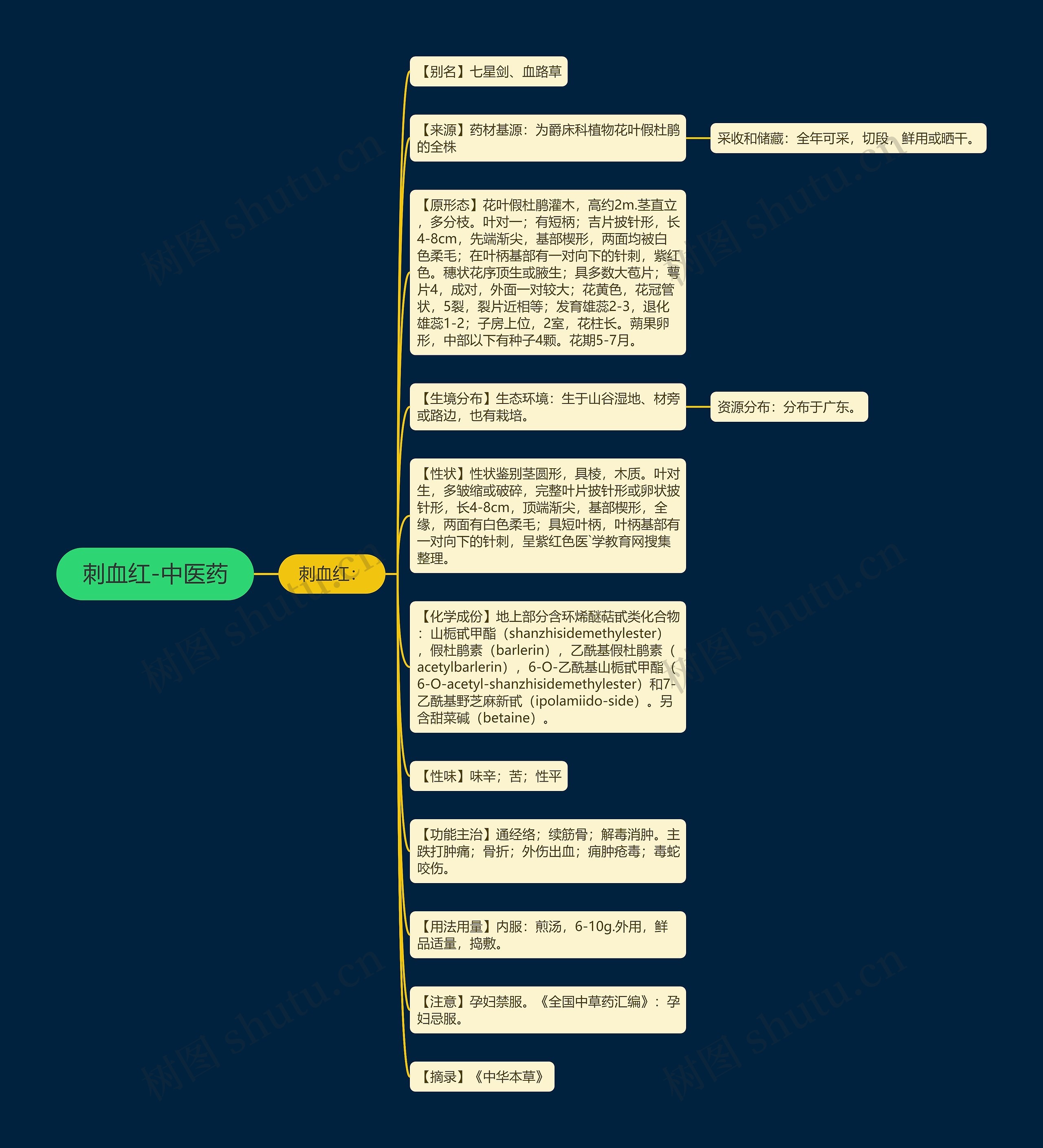 刺血红-中医药思维导图