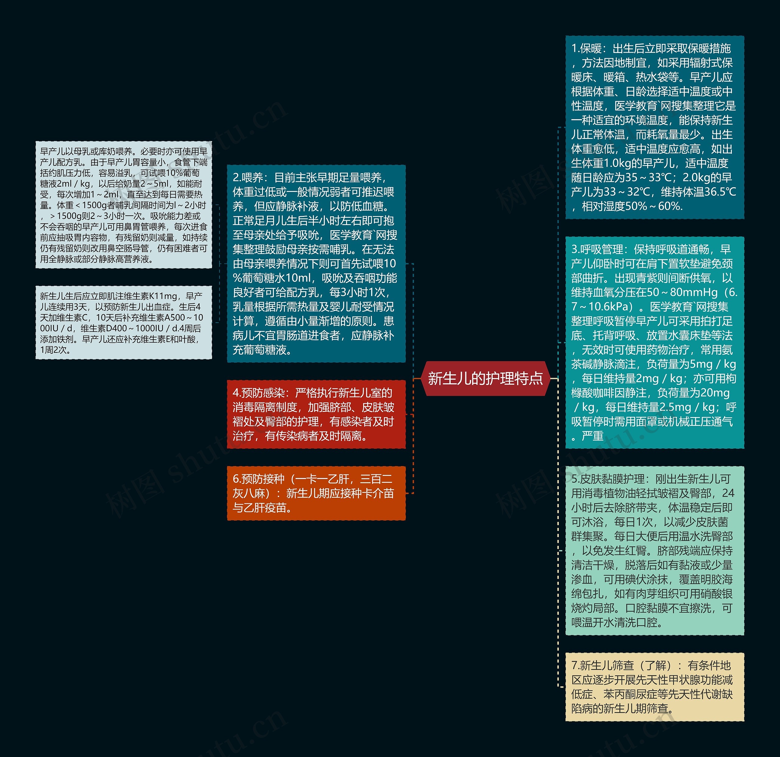 新生儿的护理特点思维导图