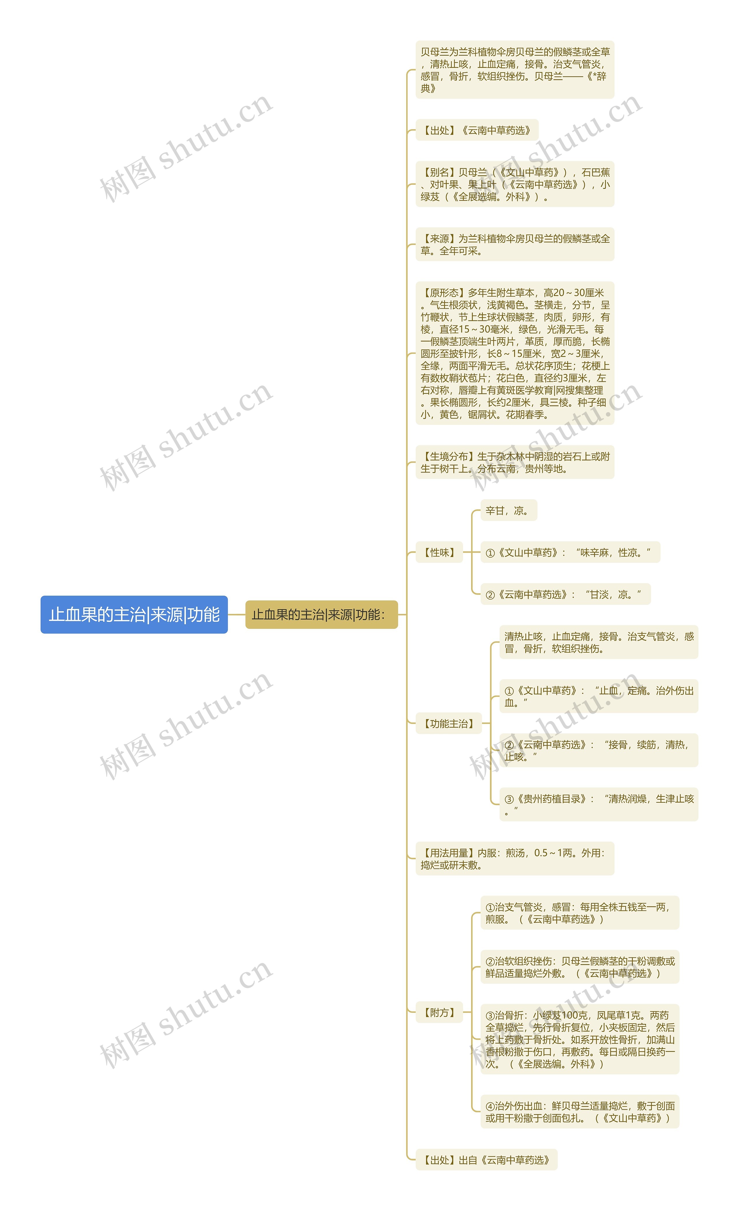 止血果的主治|来源|功能思维导图