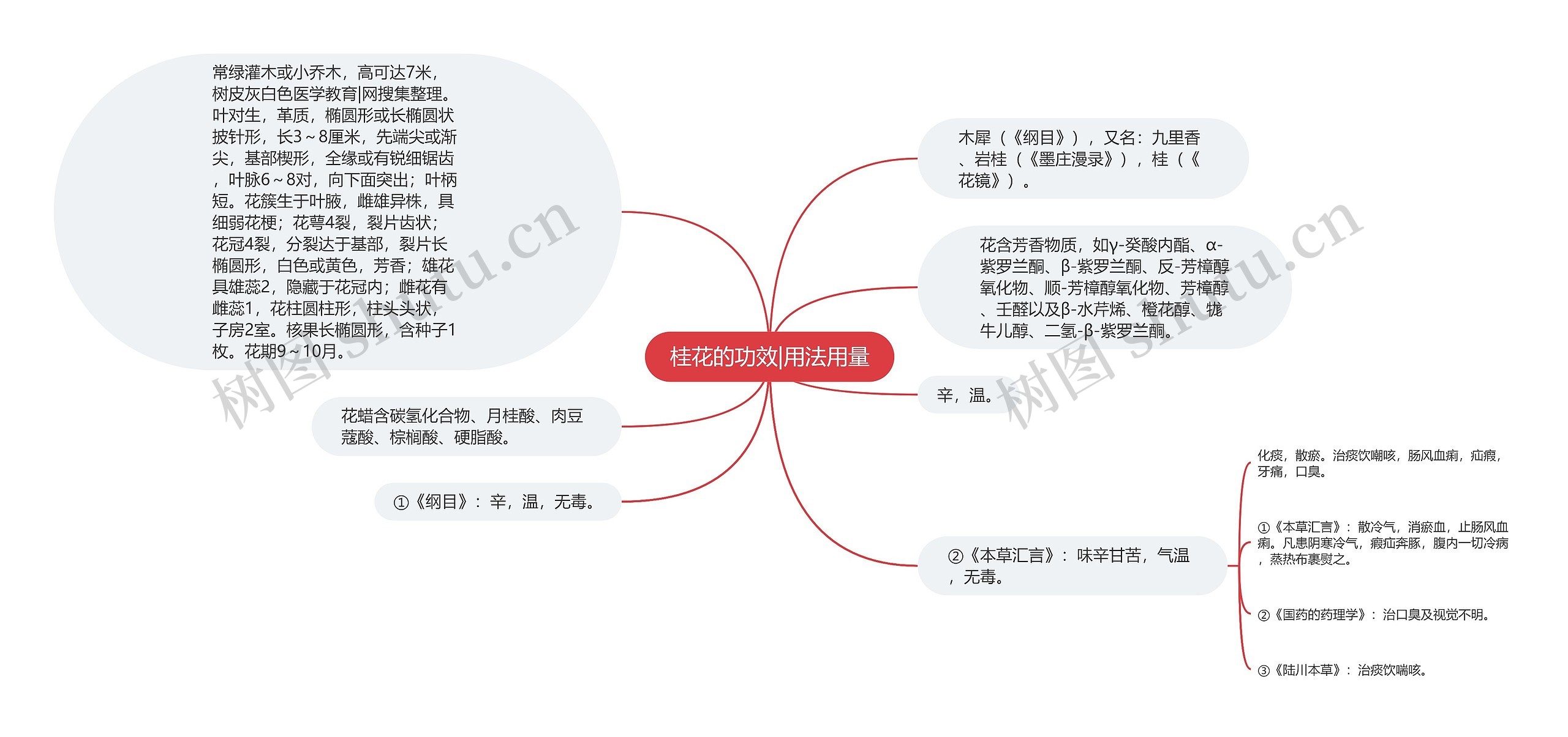 桂花的功效|用法用量思维导图