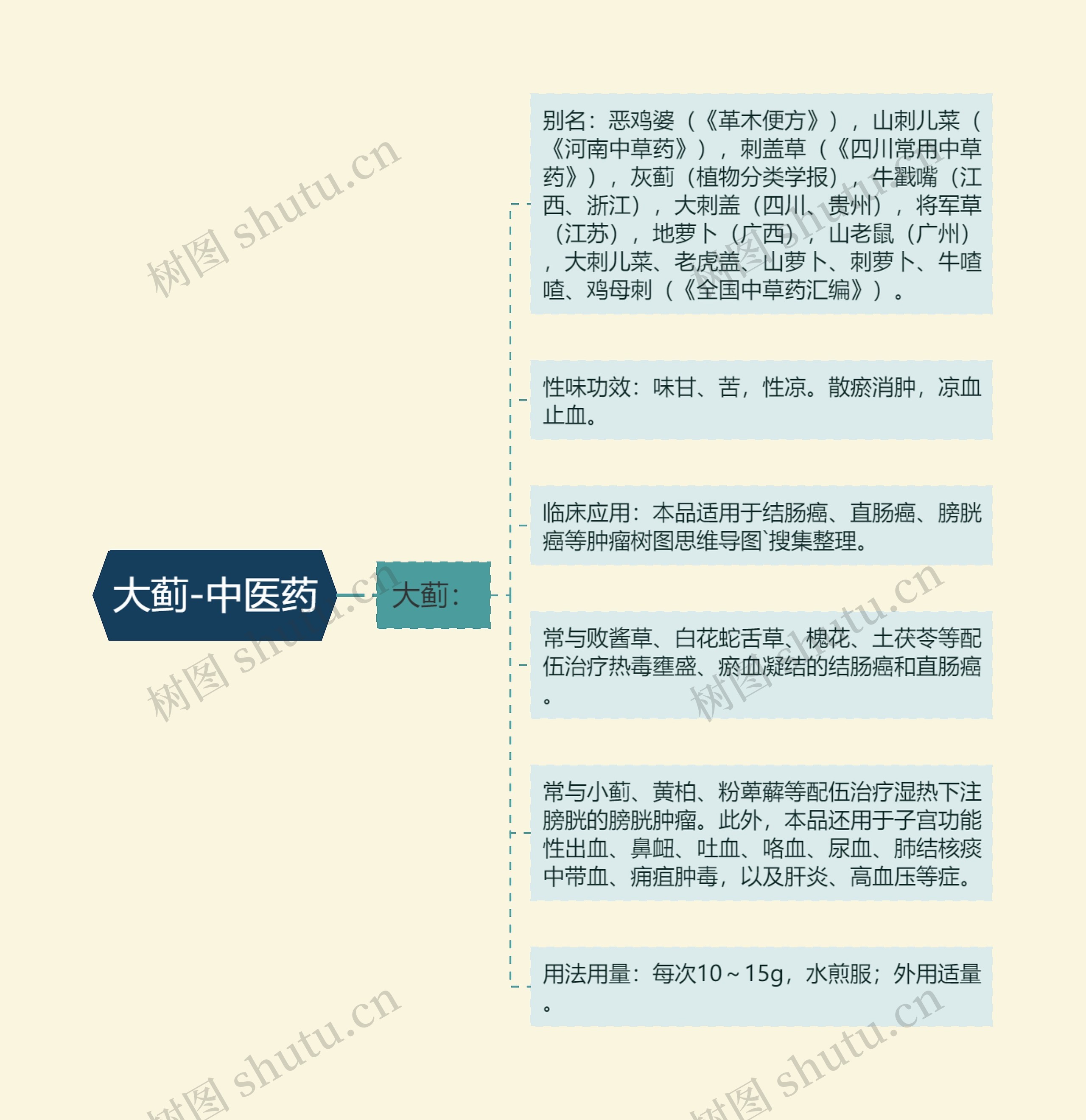 大蓟-中医药 大蓟-中医药