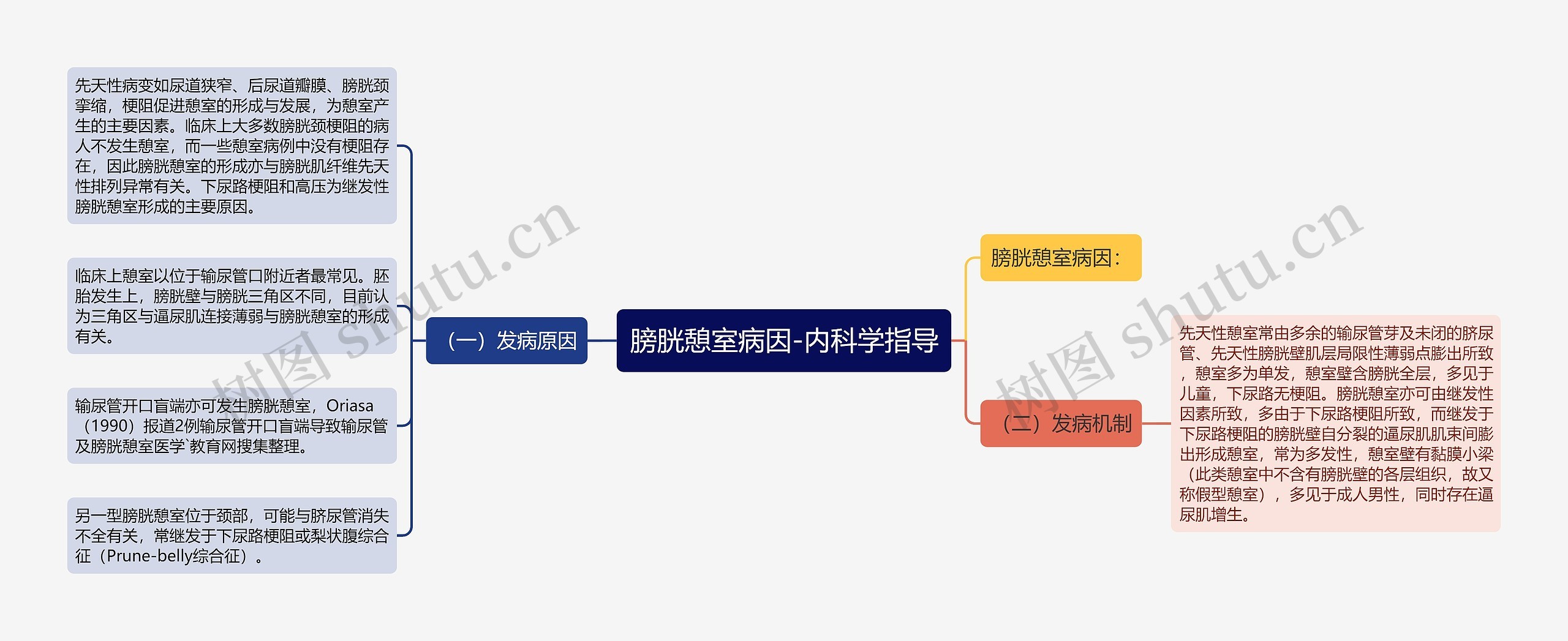 膀胱憩室病因-内科学指导