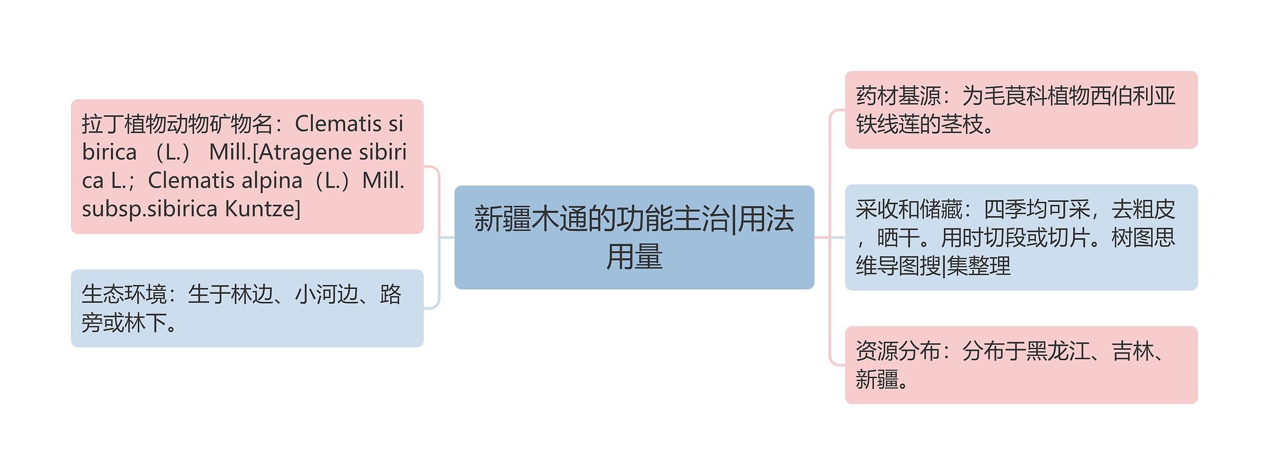 新疆木通的功能主治|用法用量