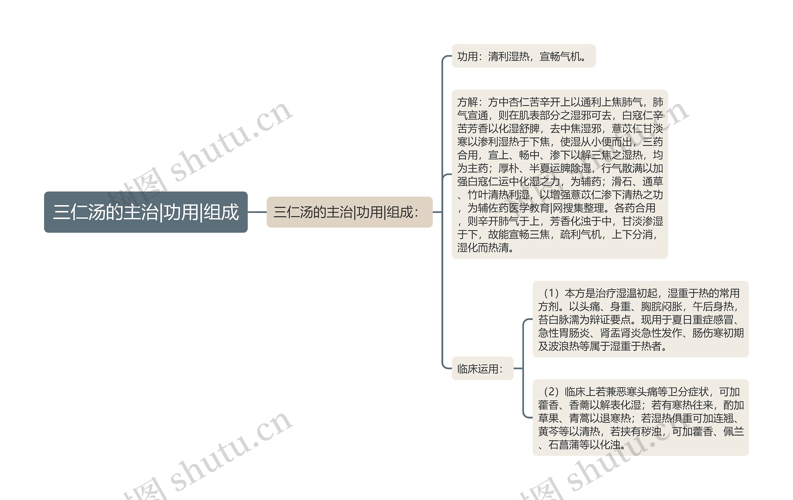 三仁汤的主治|功用|组成思维导图