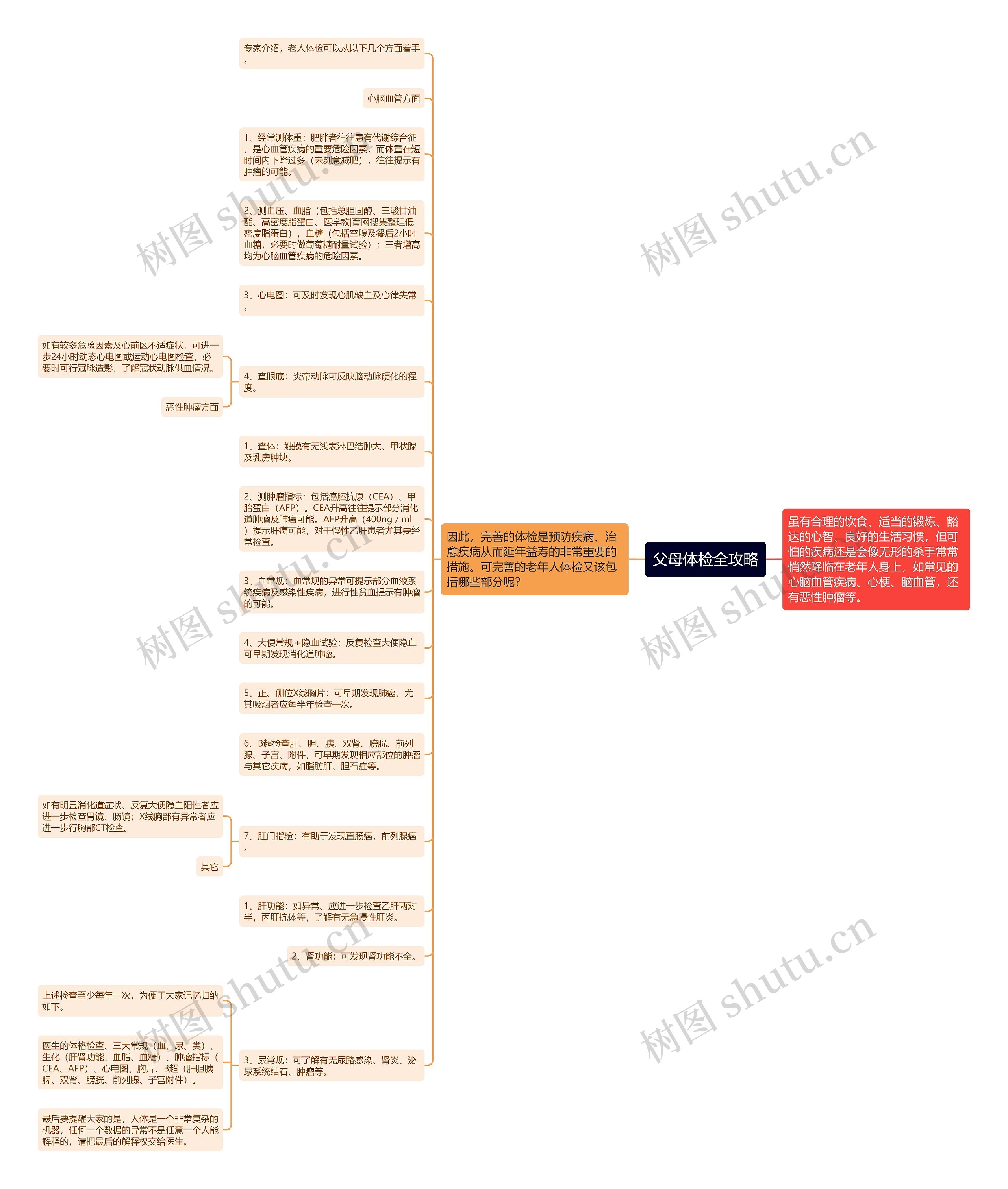 父母体检全攻略思维导图