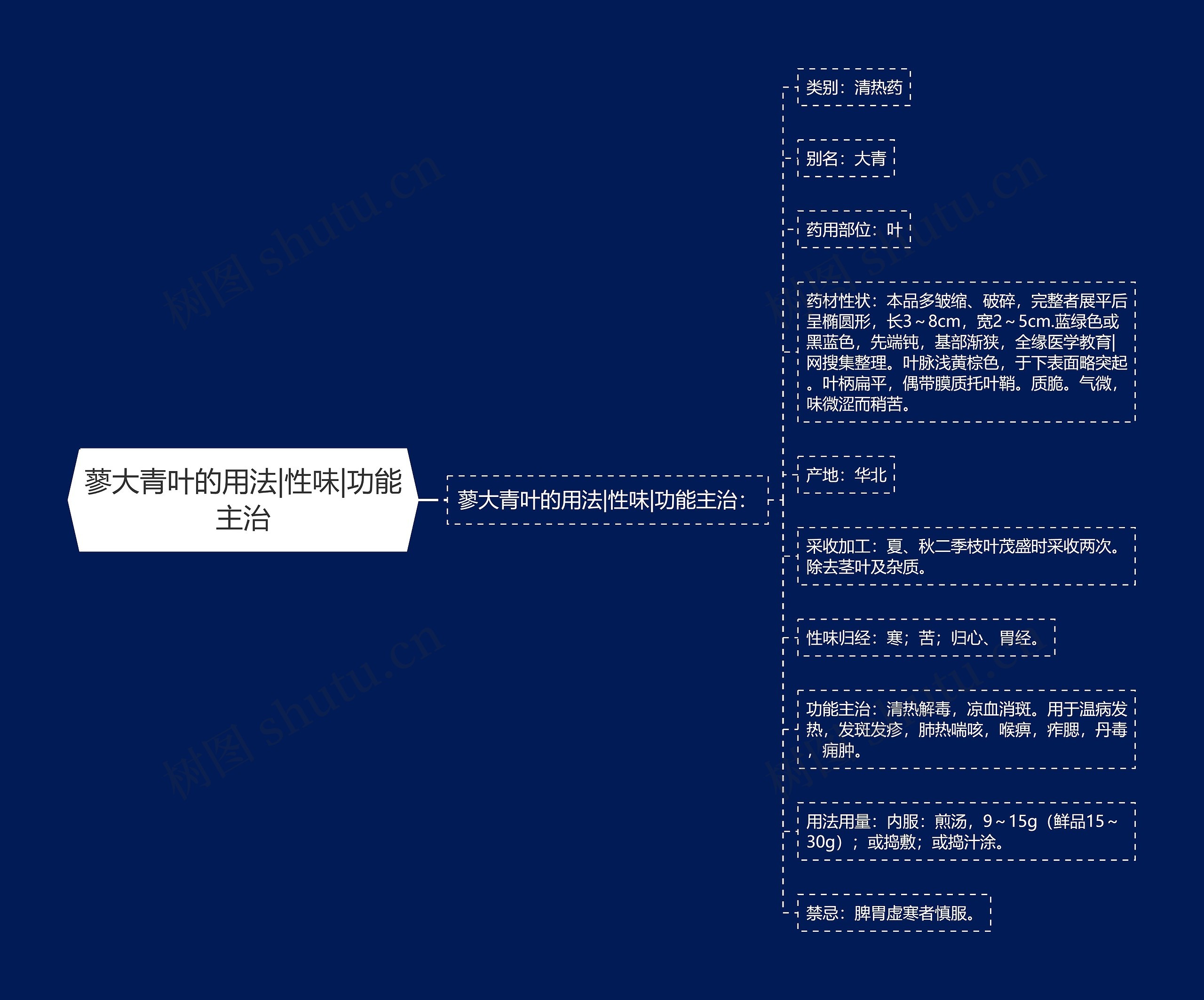 蓼大青叶的用法|性味|功能主治思维导图