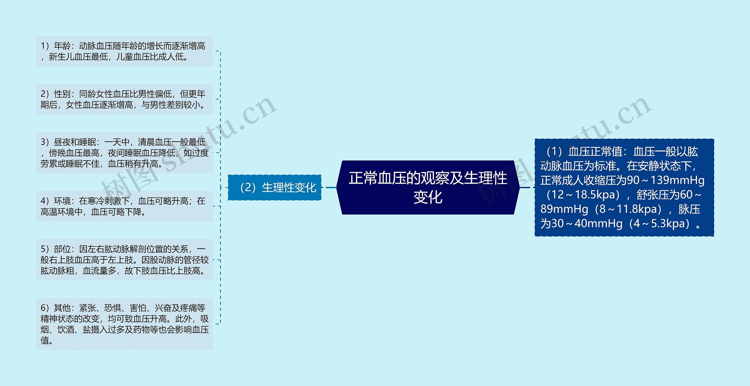 正常血压的观察及生理性变化思维导图