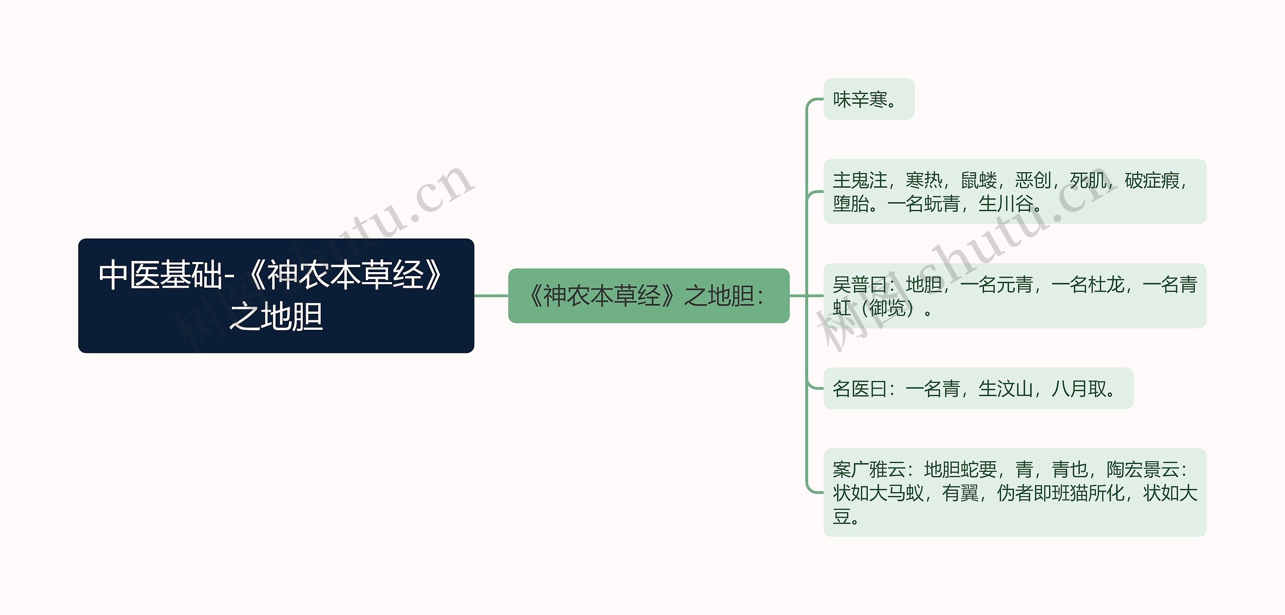 中医基础-《神农本草经》之地胆思维导图