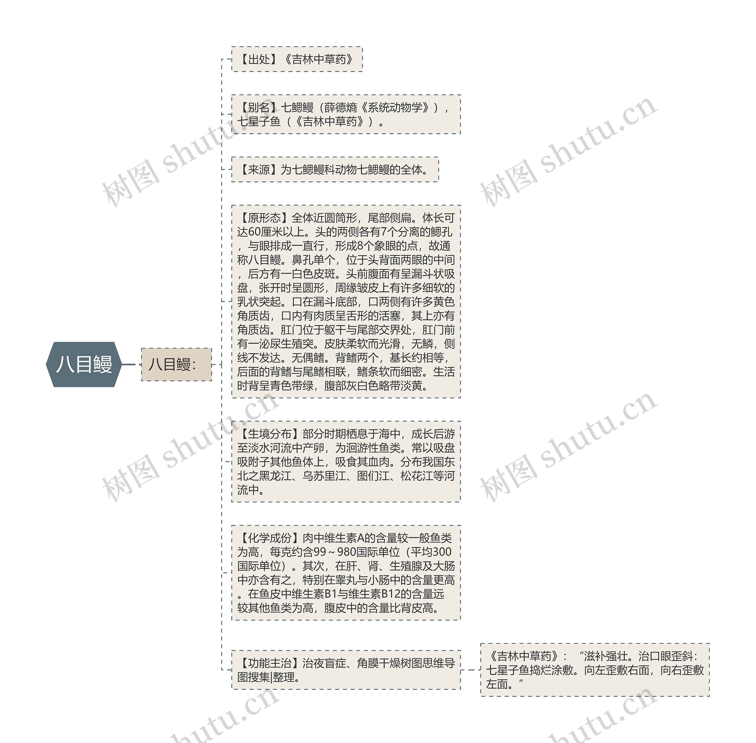 八目鳗思维导图