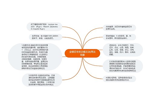 金银忍冬的功能主治|用法用量