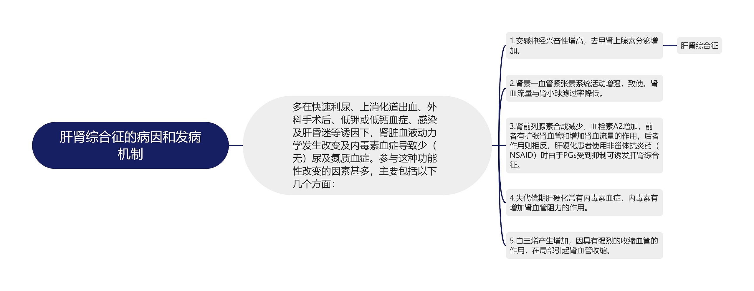 肝肾综合征的病因和发病机制思维导图