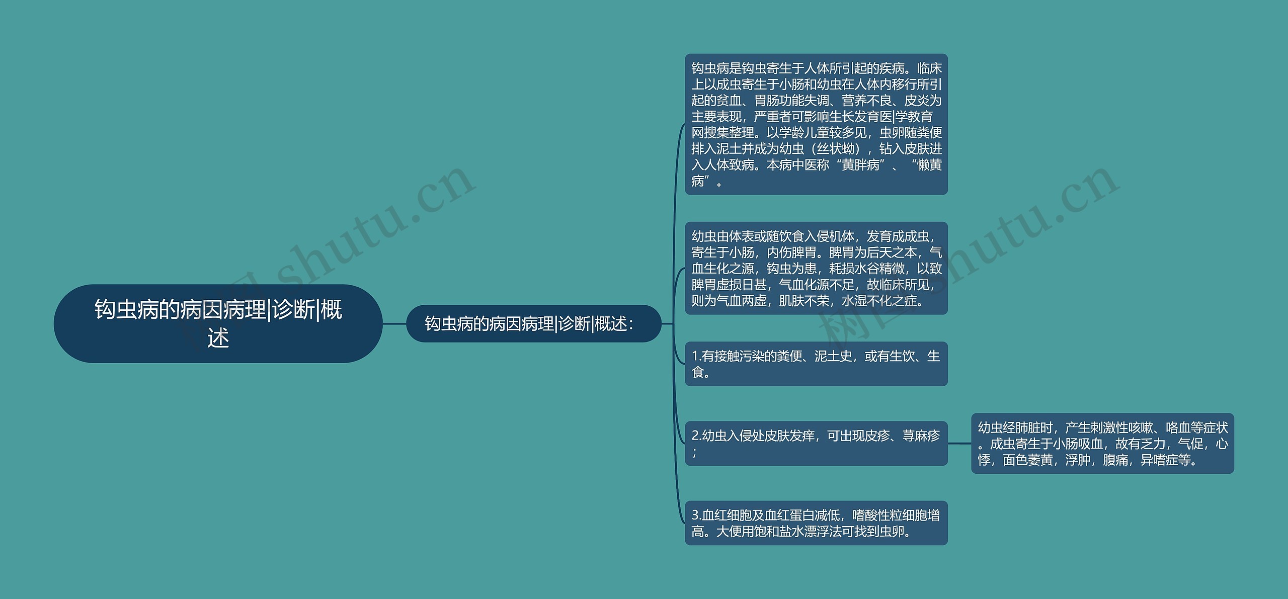 钩虫病的病因病理|诊断|概述思维导图