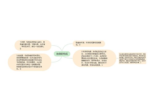 胎盘的构成