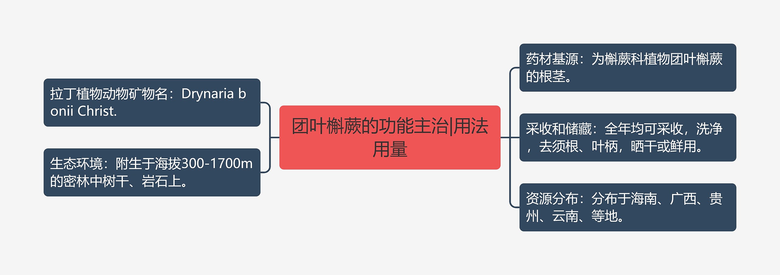 团叶槲蕨的功能主治|用法用量 团叶槲蕨的功能主治|用法用量