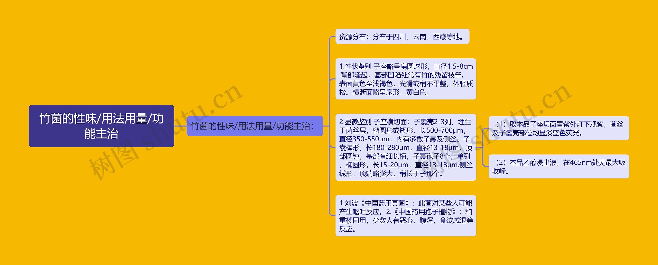 竹菌的性味/用法用量/功能主治
