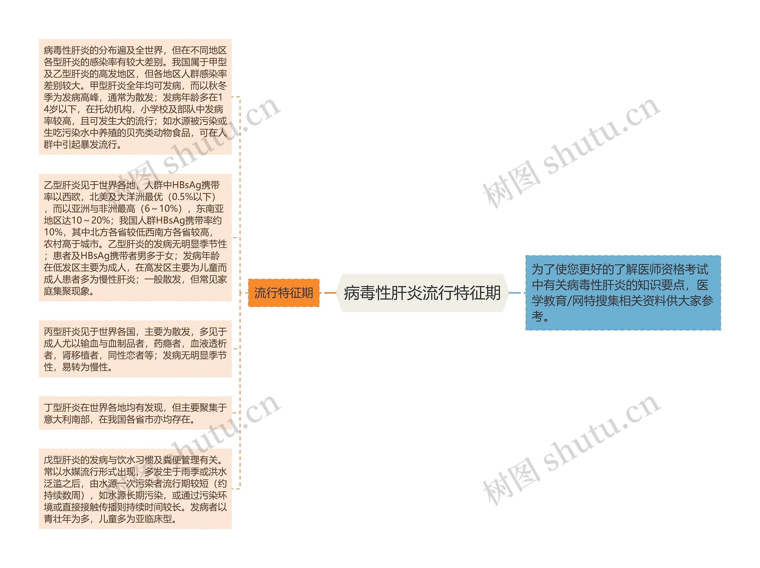 病毒性肝炎流行特征期思维导图