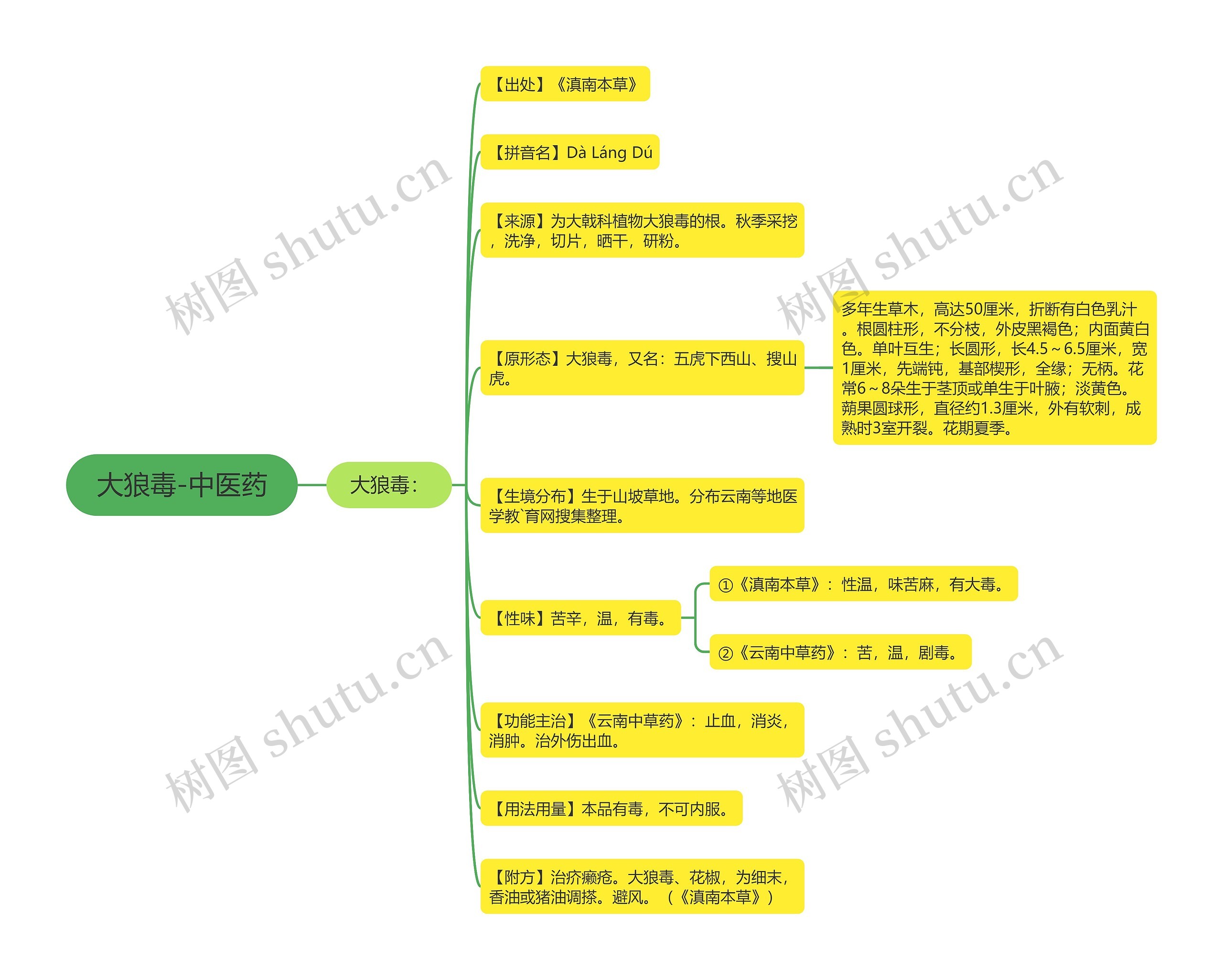 大狼毒-中医药思维导图