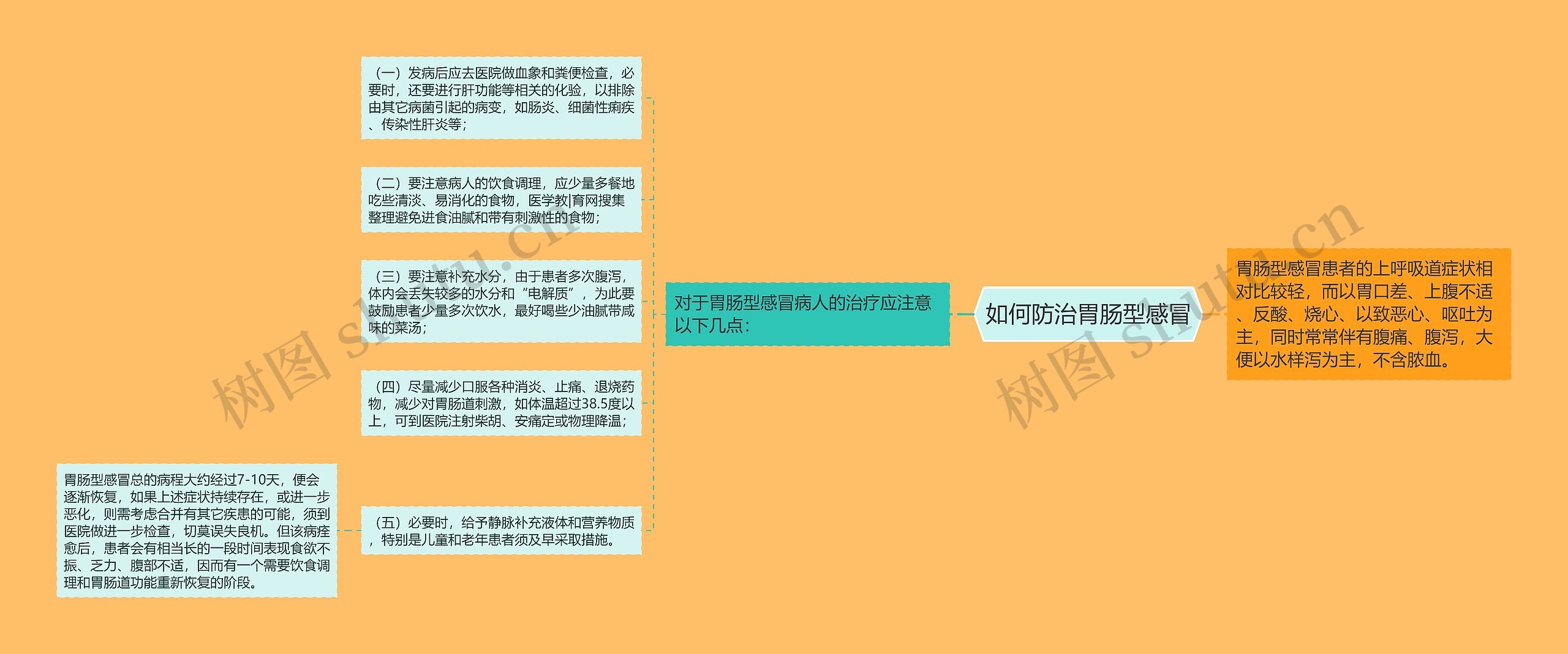 如何防治胃肠型感冒思维导图高清图 如何防治胃肠型感冒思维导图
