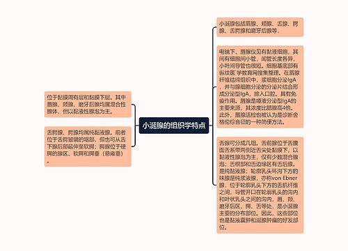 小涎腺的组织学特点