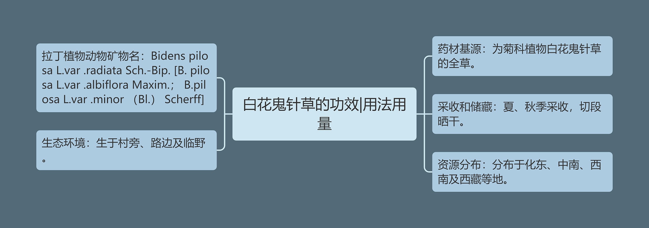 白花鬼针草的功效|用法用量 白花鬼针草的功效|用法用量