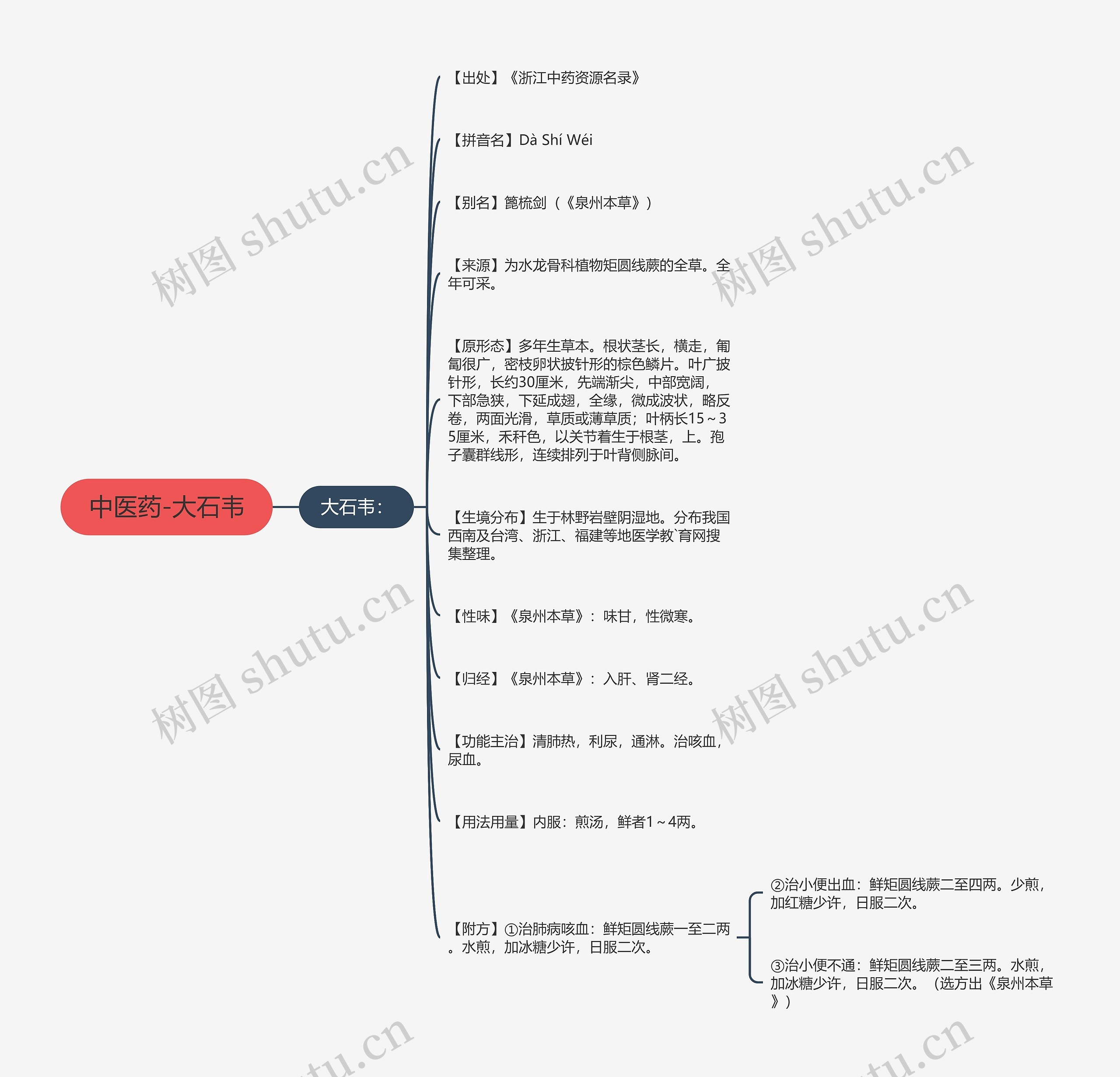 中医药-大石韦思维导图