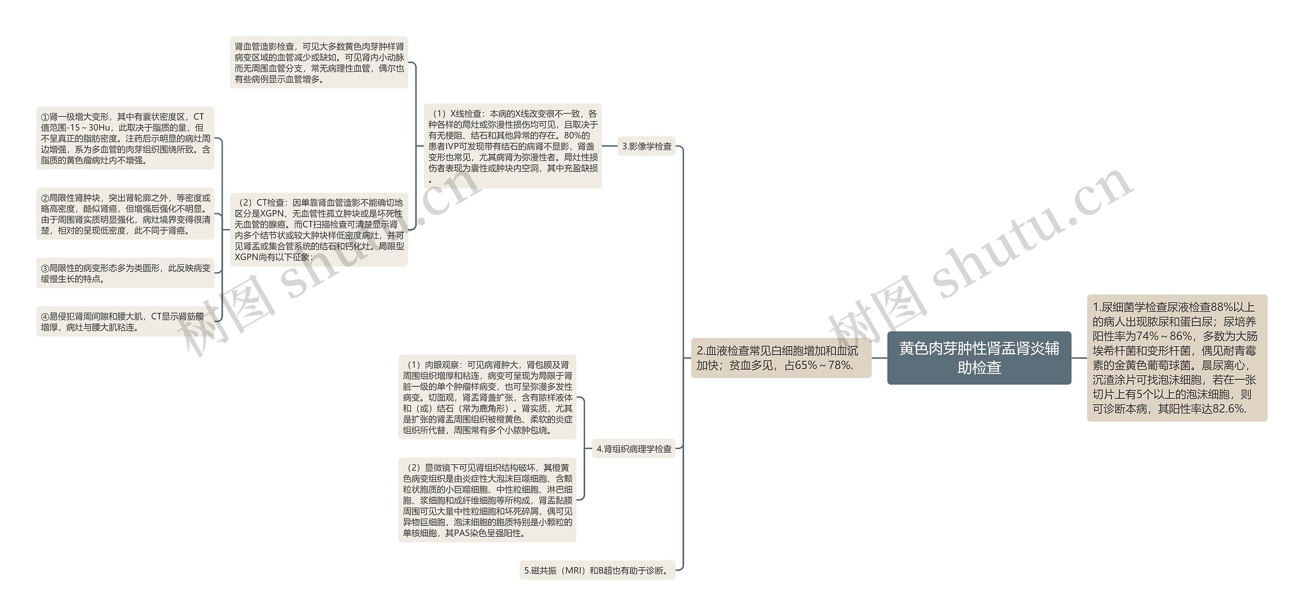 黄色肉芽肿性肾盂肾炎辅助检查思维导图