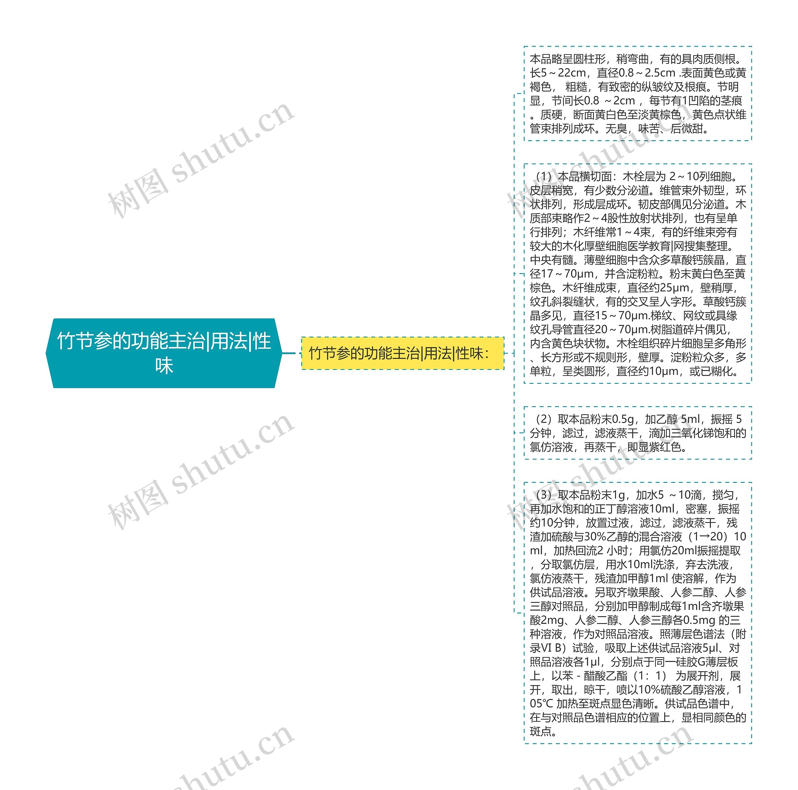 竹节参的功能主治|用法|性味思维导图