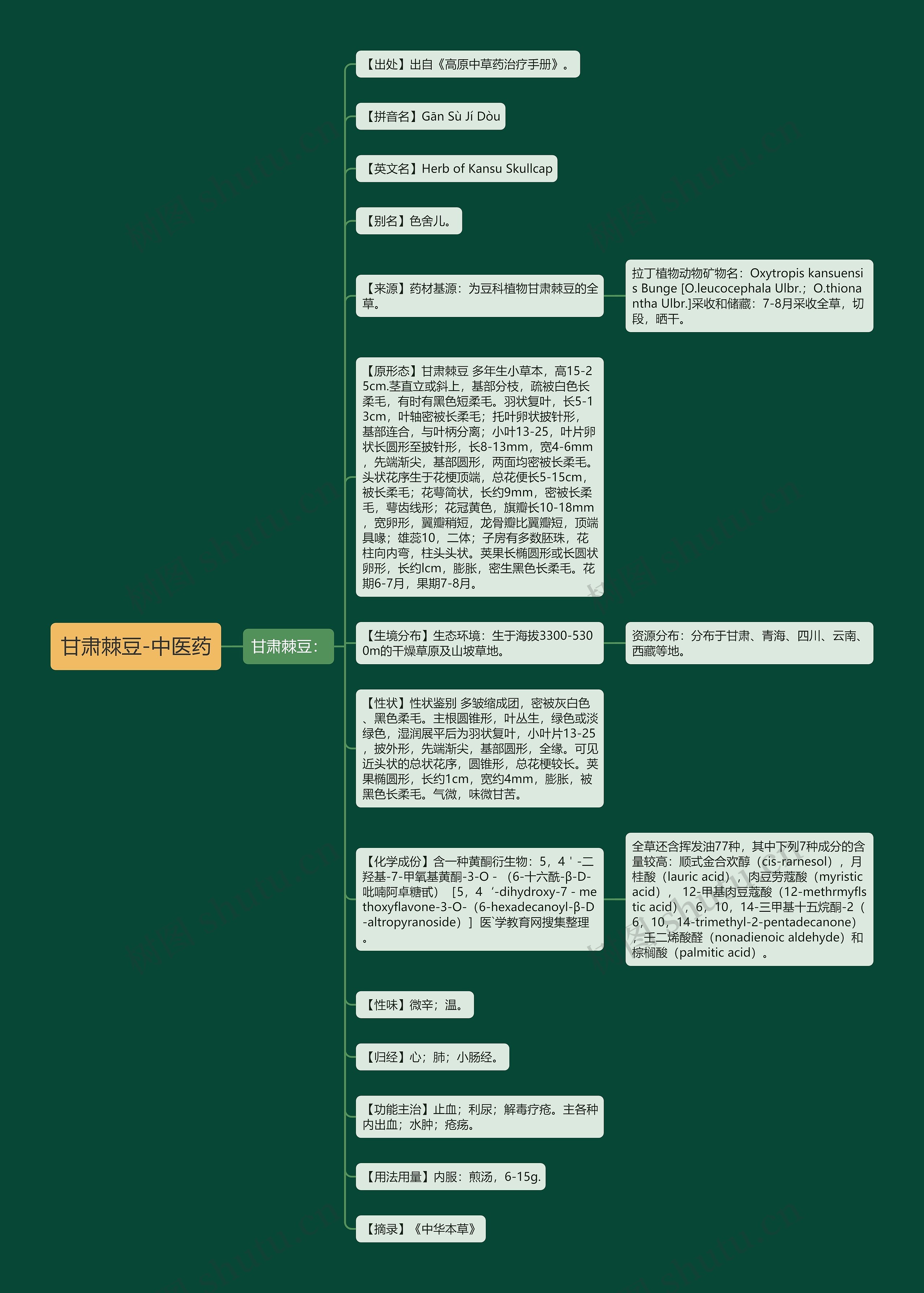 甘肃棘豆-中医药思维导图