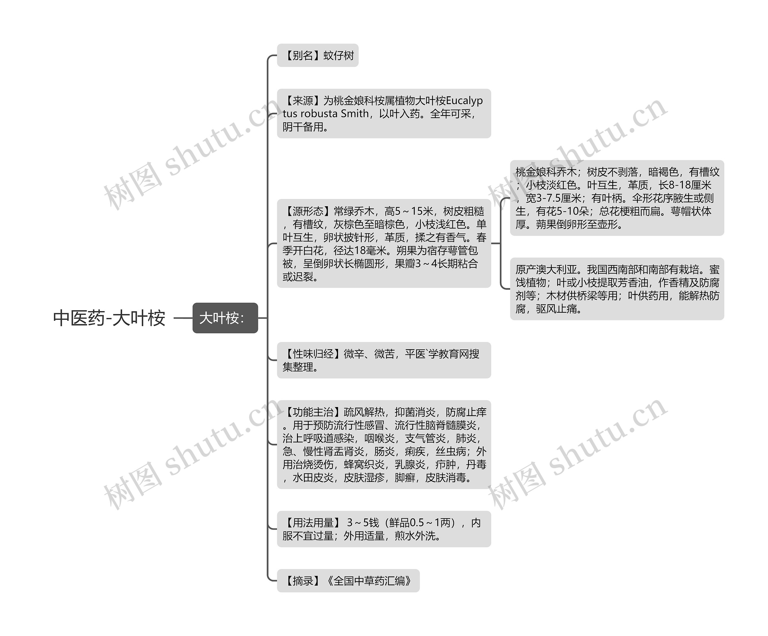 中医药-大叶桉思维导图