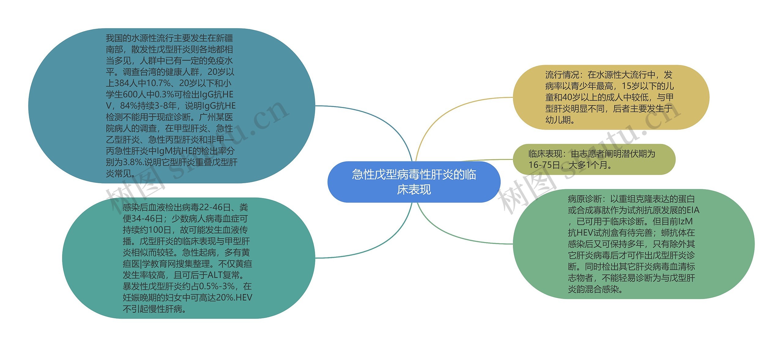 急性戊型病毒性肝炎的临床表现思维导图