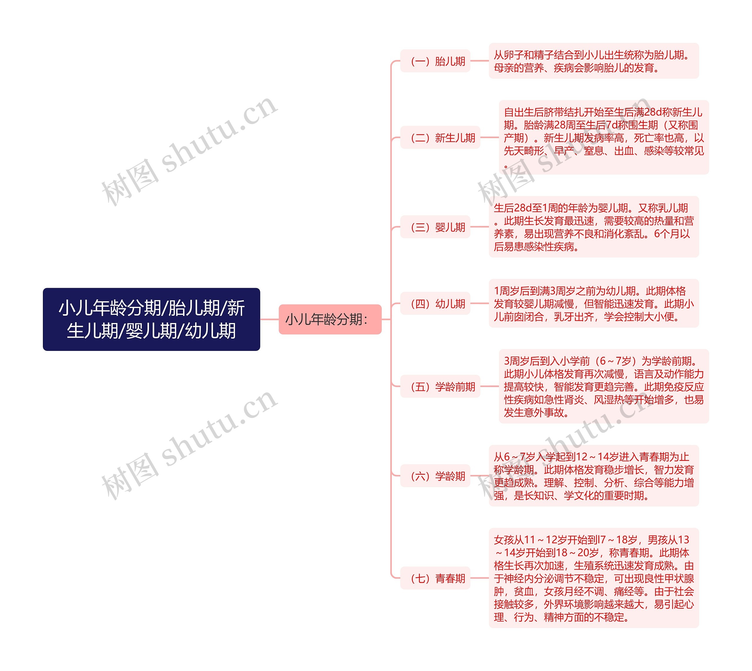 小儿年龄分期/胎儿期/新生儿期/婴儿期/幼儿期思维导图