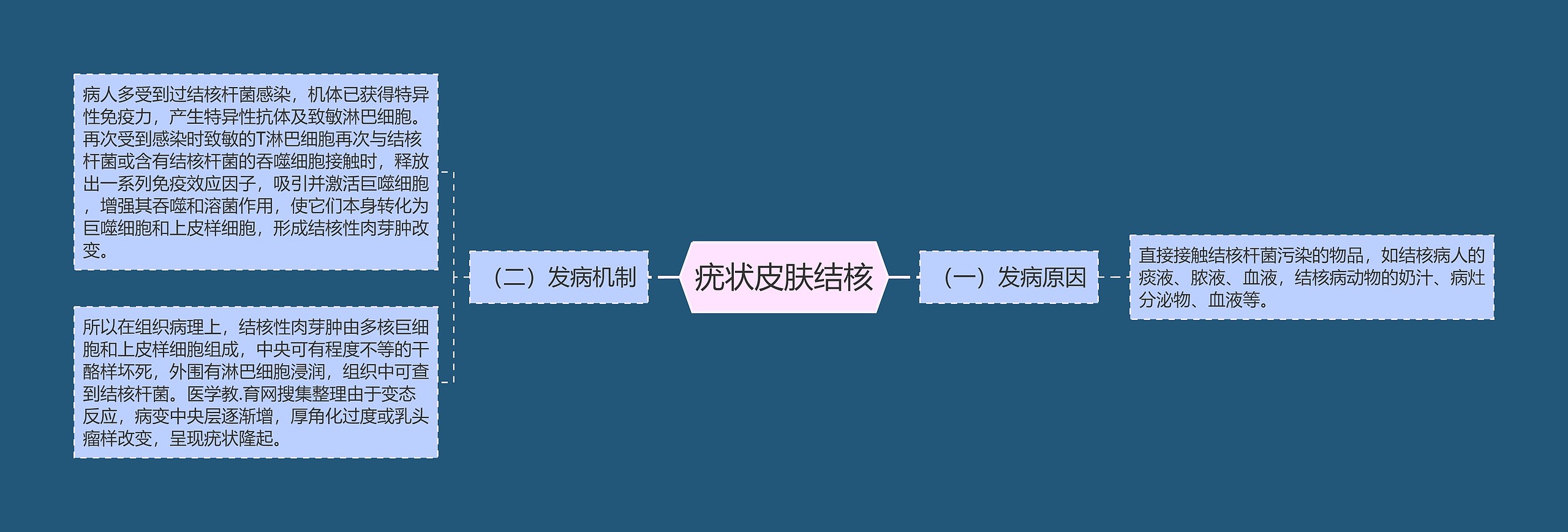 疣状皮肤结核