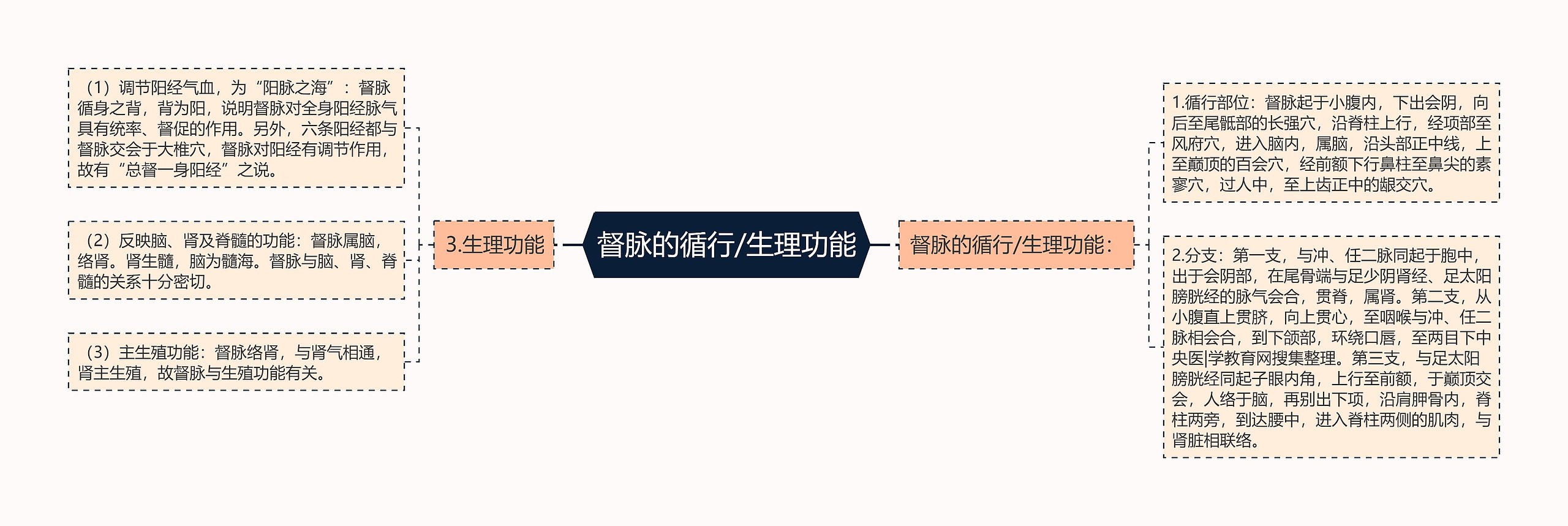 督脉的循行/生理功能 督脉的循行/生理功能