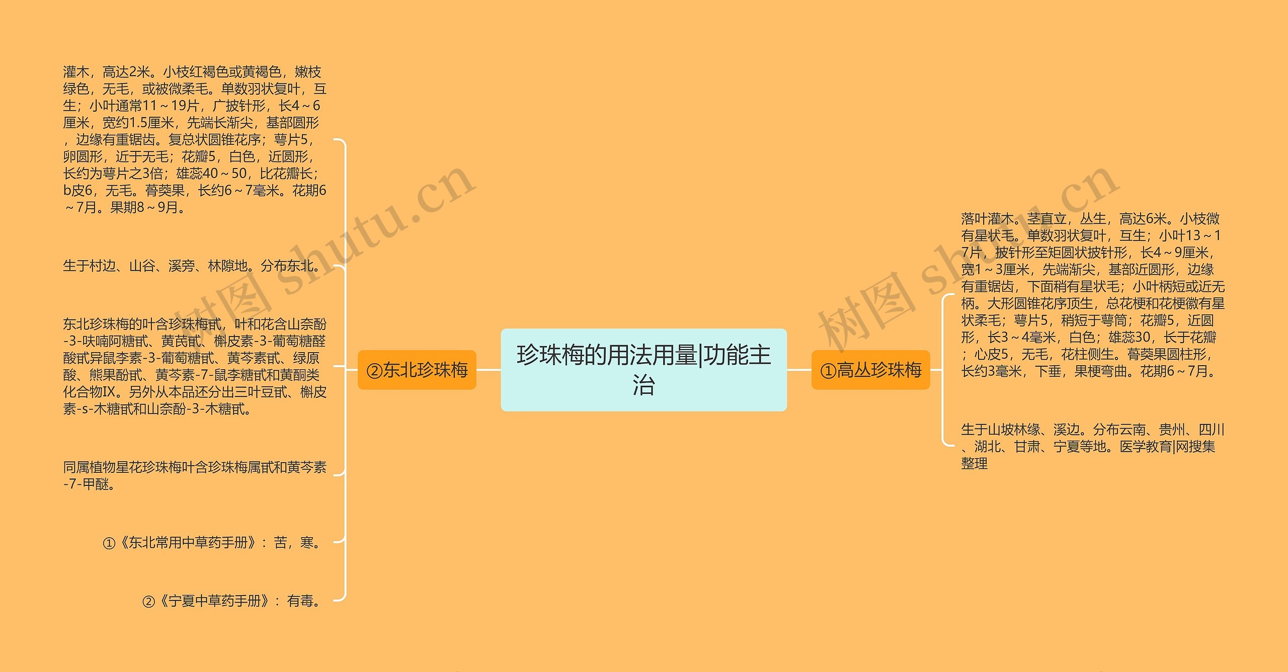 珍珠梅的用法用量|功能主治思维导图