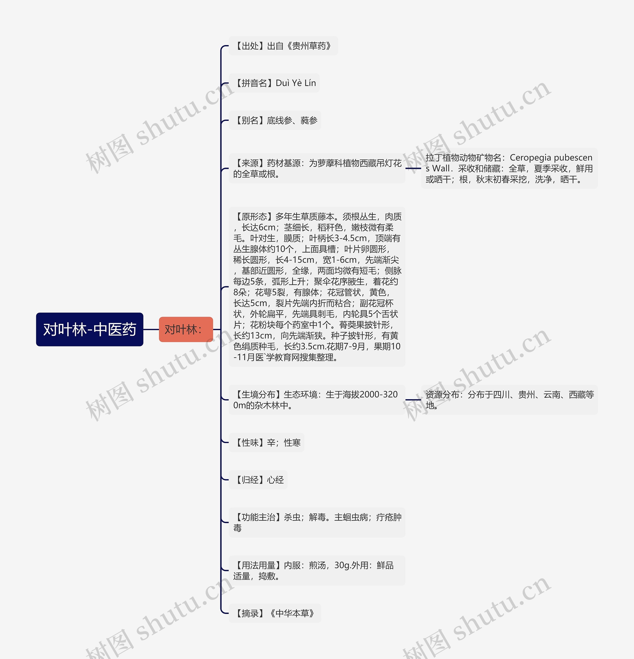 对叶林-中医药思维导图