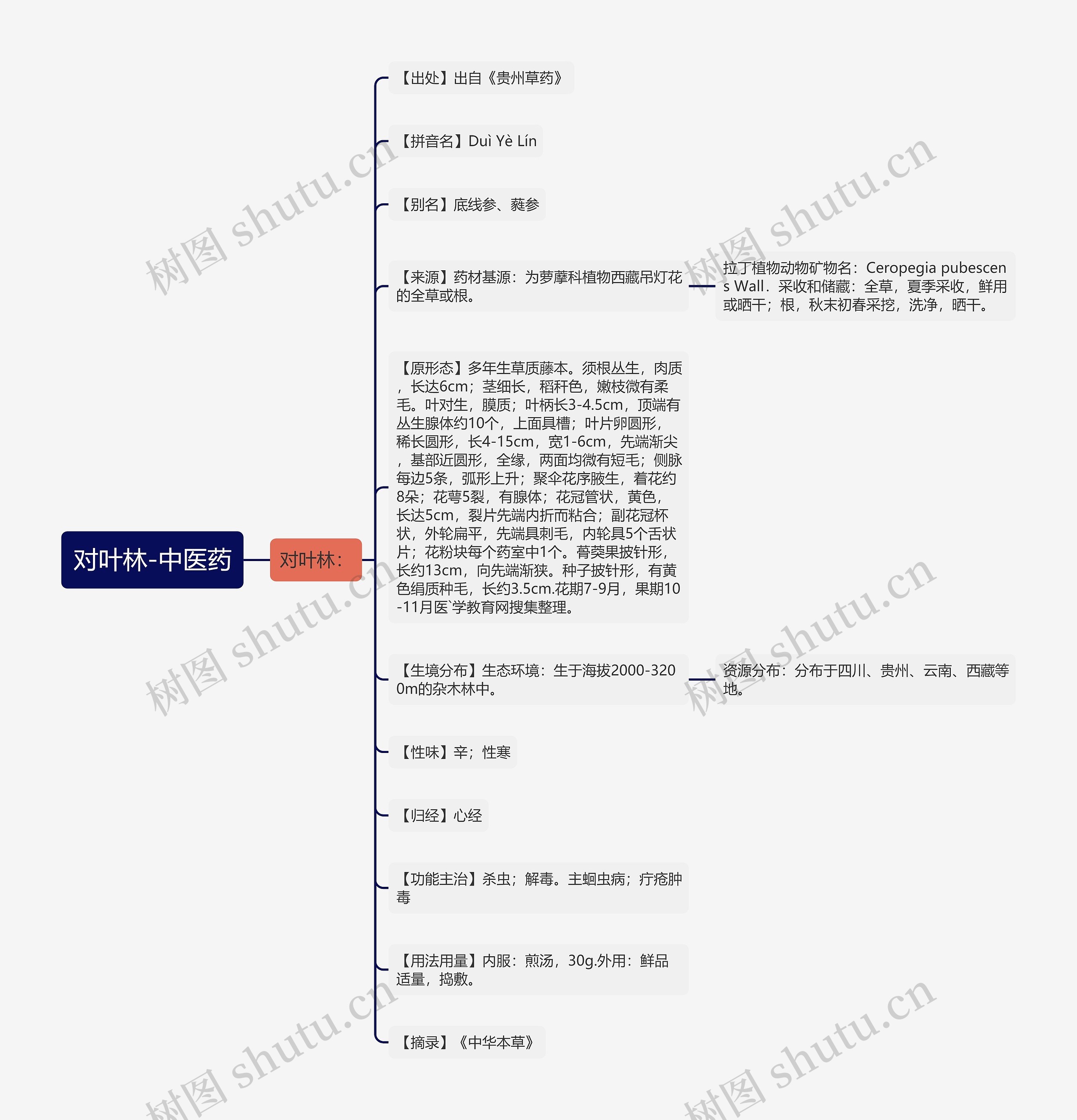 对叶林-中医药 对叶林-中医药