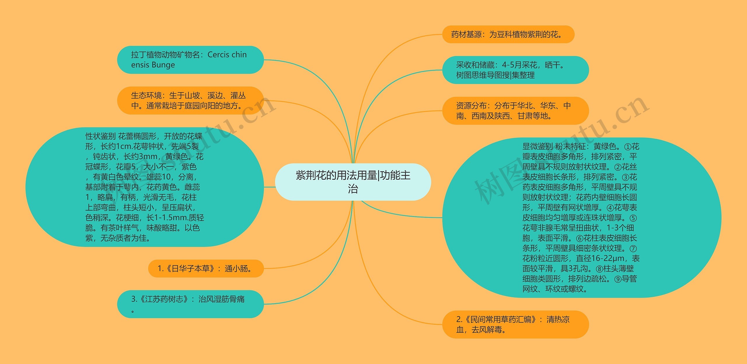 紫荆花的用法用量|功能主治