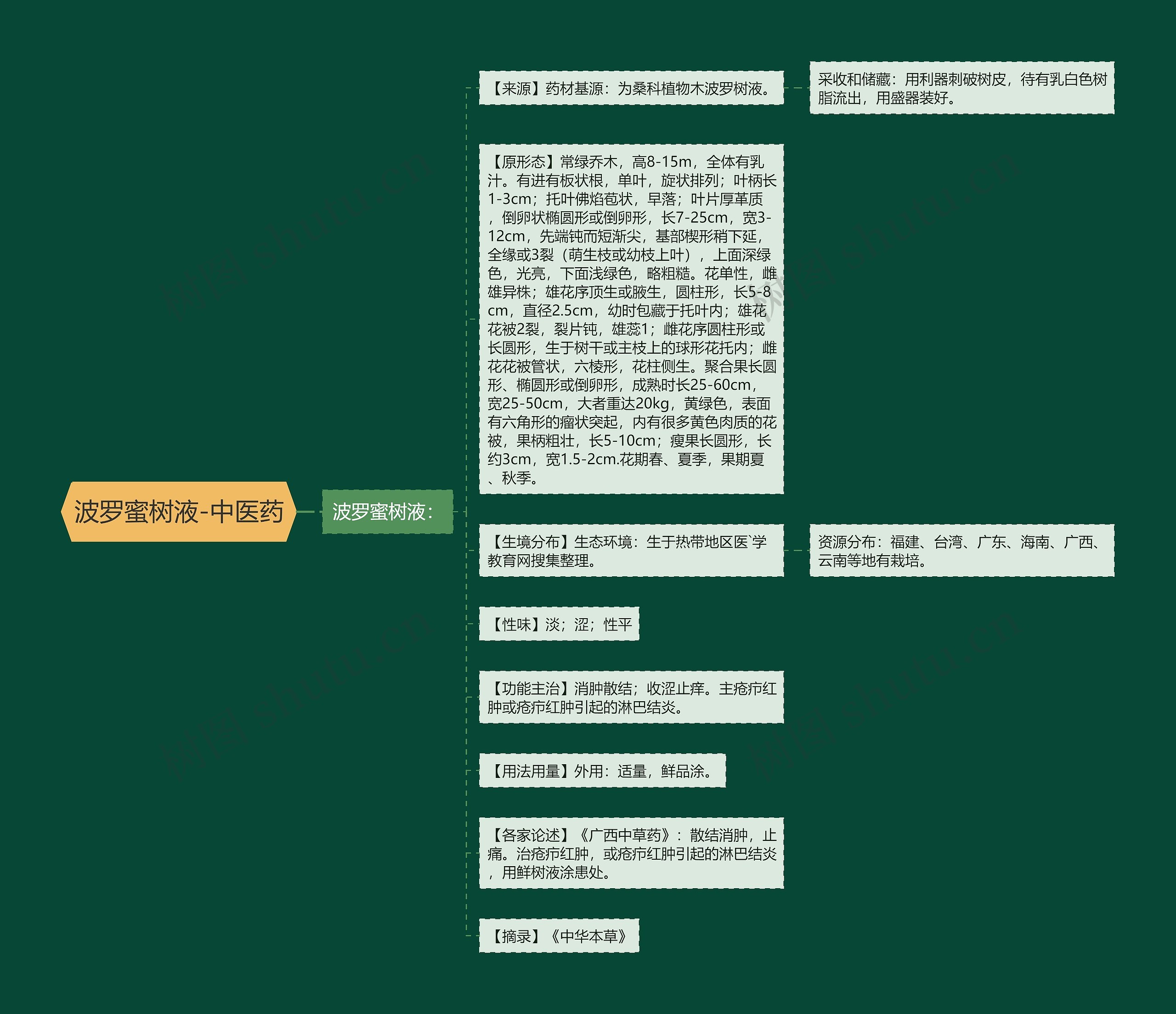 波罗蜜树液-中医药思维导图