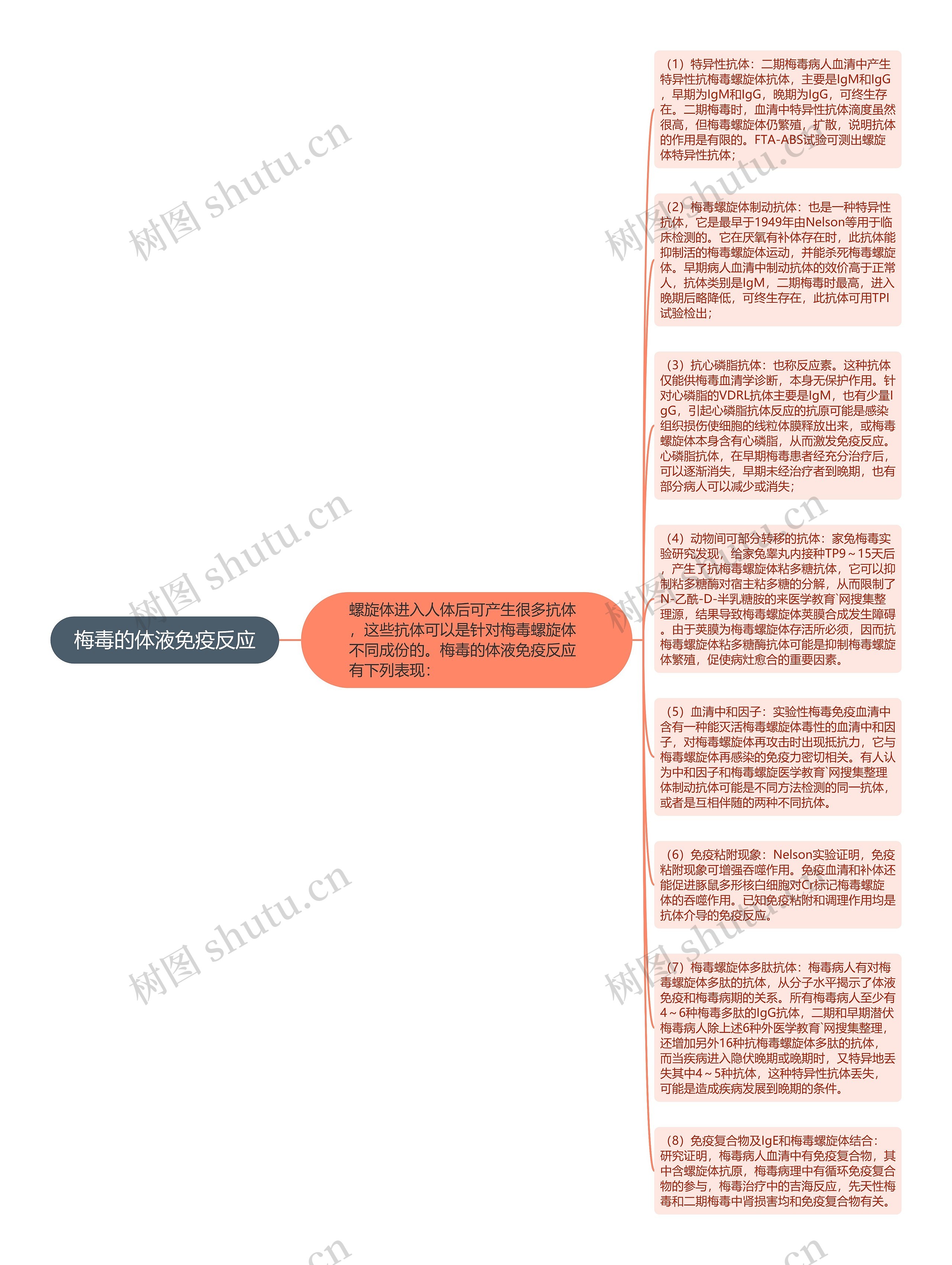 梅毒的体液免疫反应思维导图